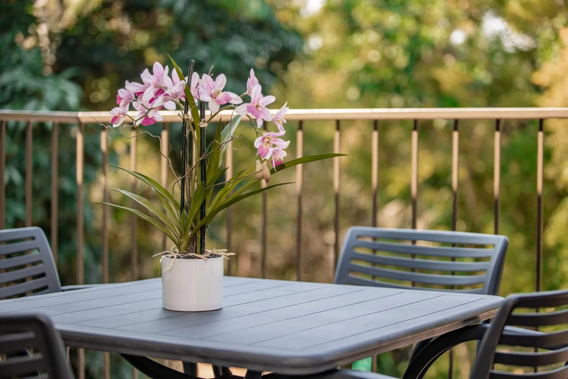 Bushbaby Valley Lodge