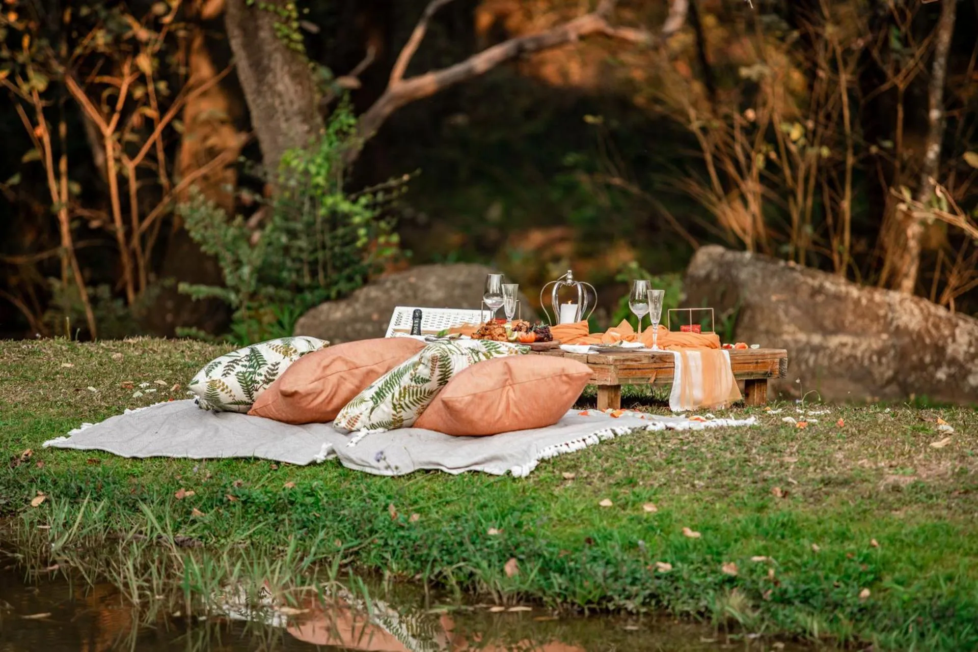 Garden in Bushbaby Valley Lodge