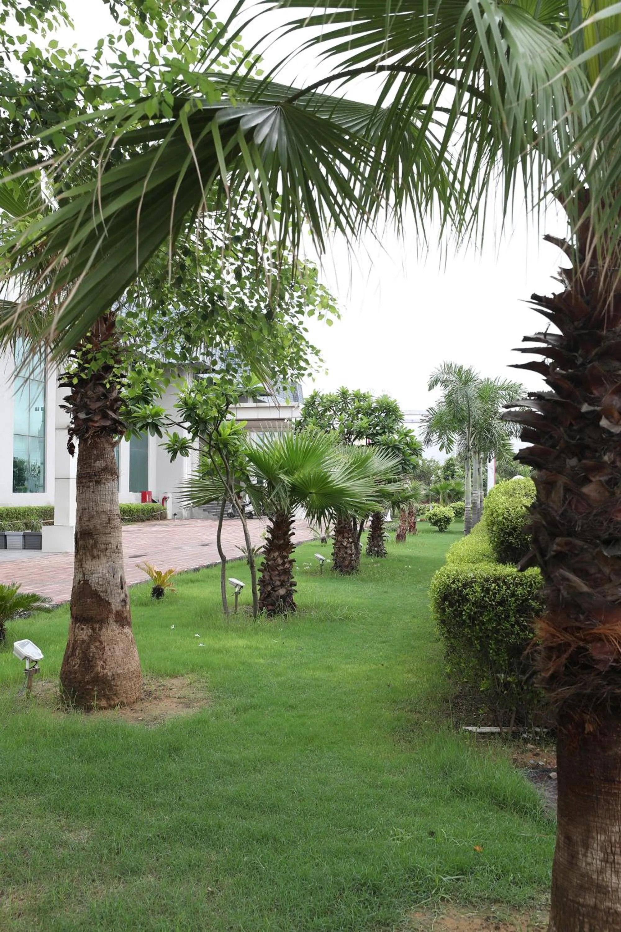 Natural landscape in Tivoli Royal Palace