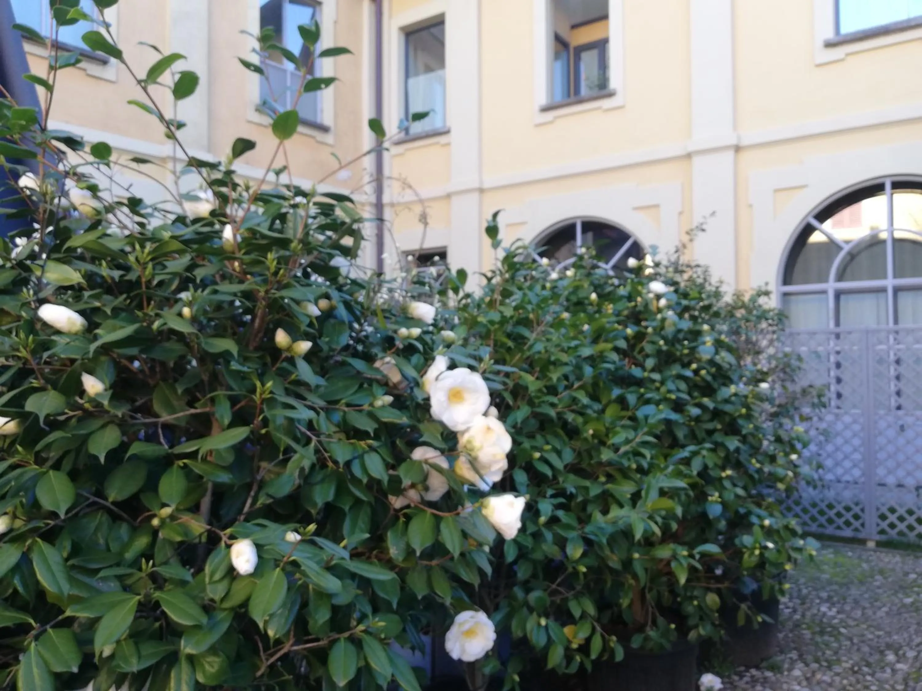 Lisander B&B suite and terrace