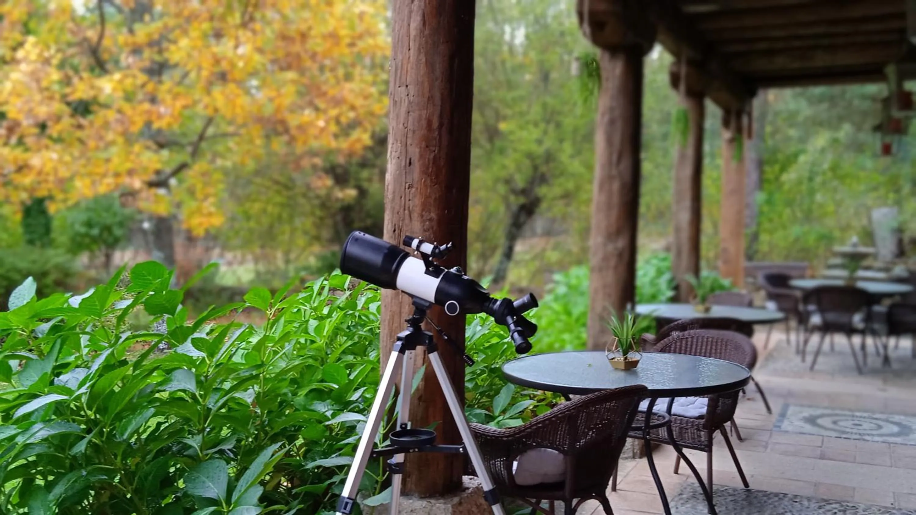 Patio in Posada Restaurante Fuenteplateada