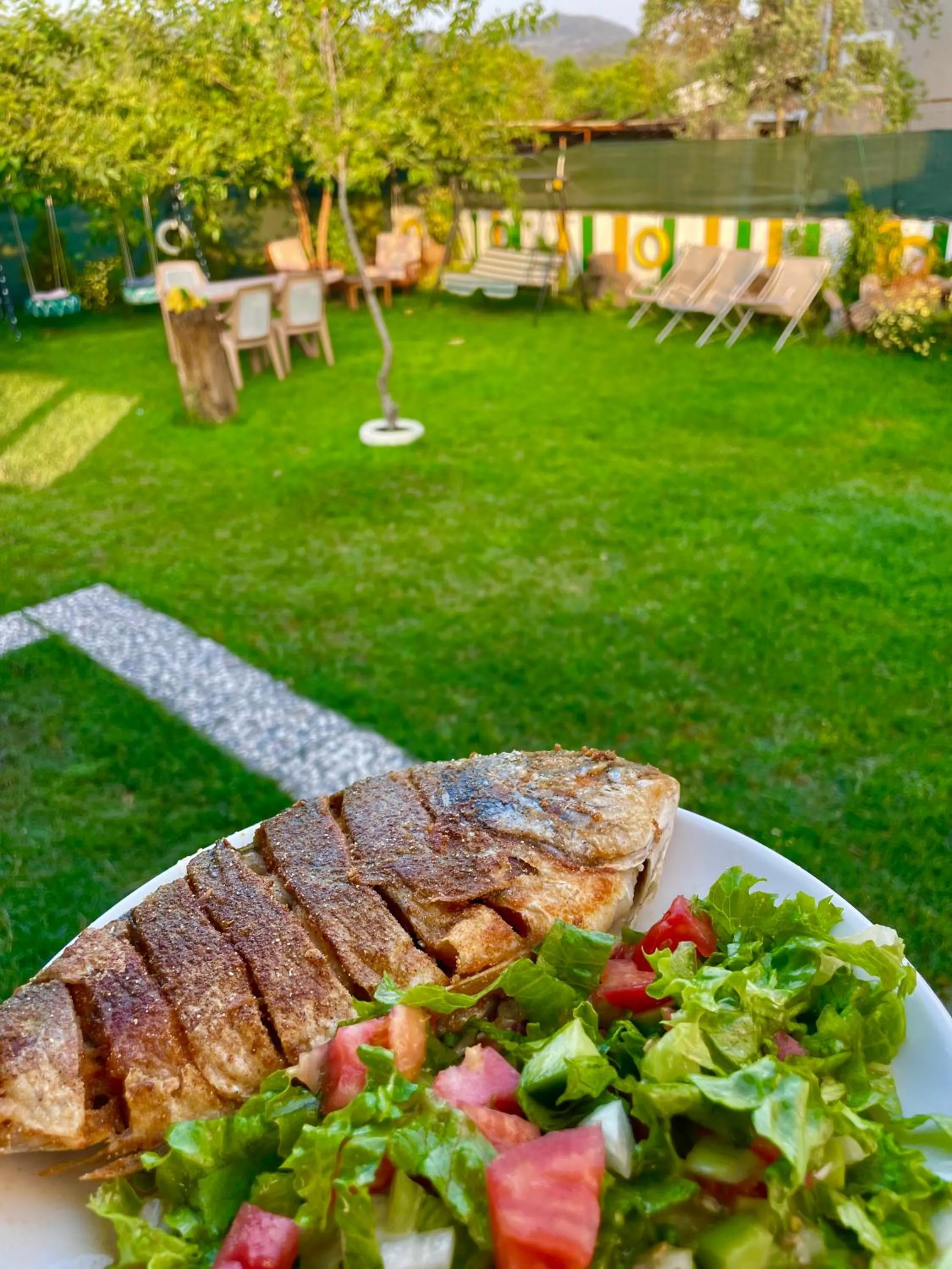 Garden in Dalaman Airport AliBaba Hotel