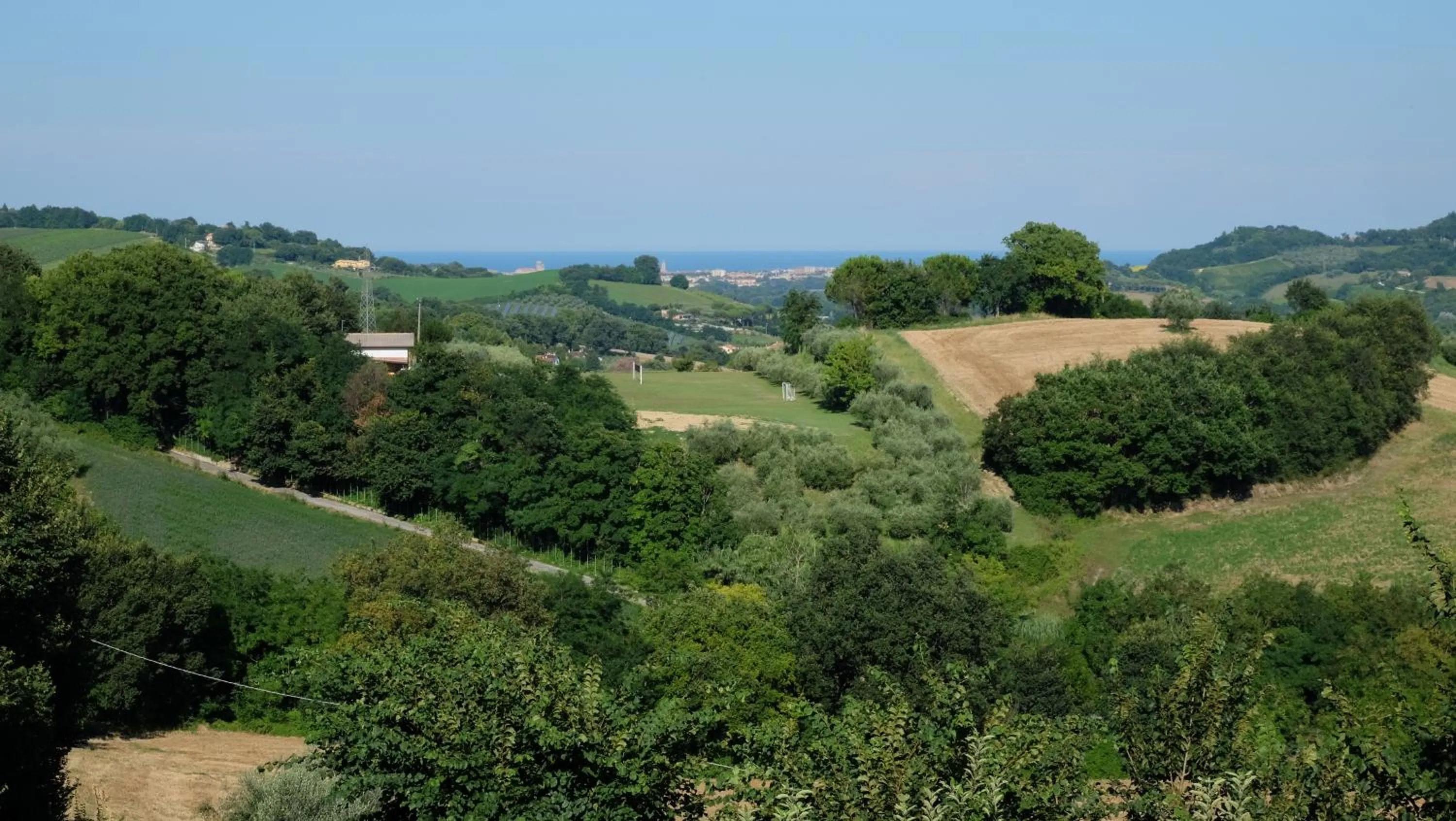 View (from property/room) in B&B Salvarosa