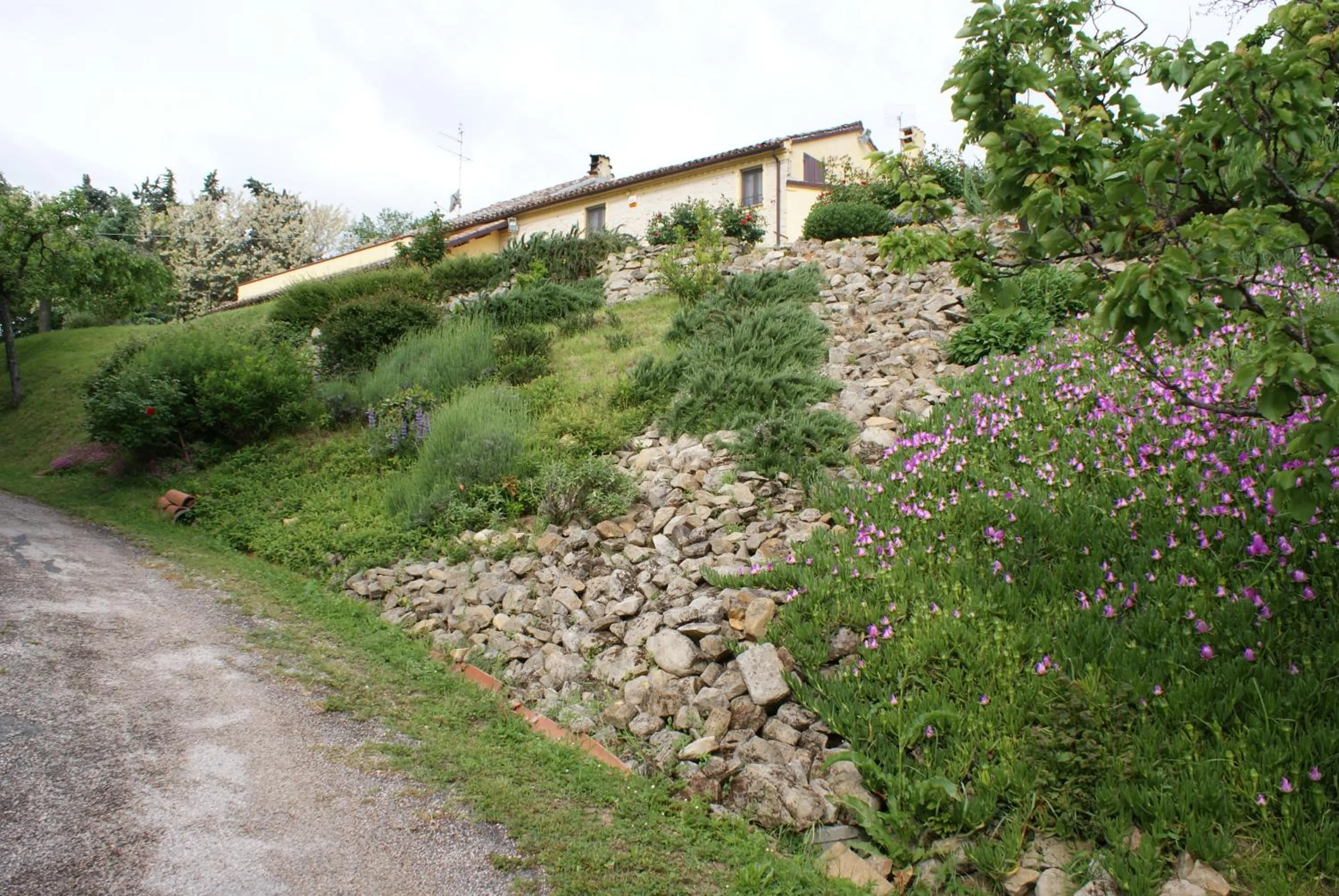 Property building in B&B Salvarosa