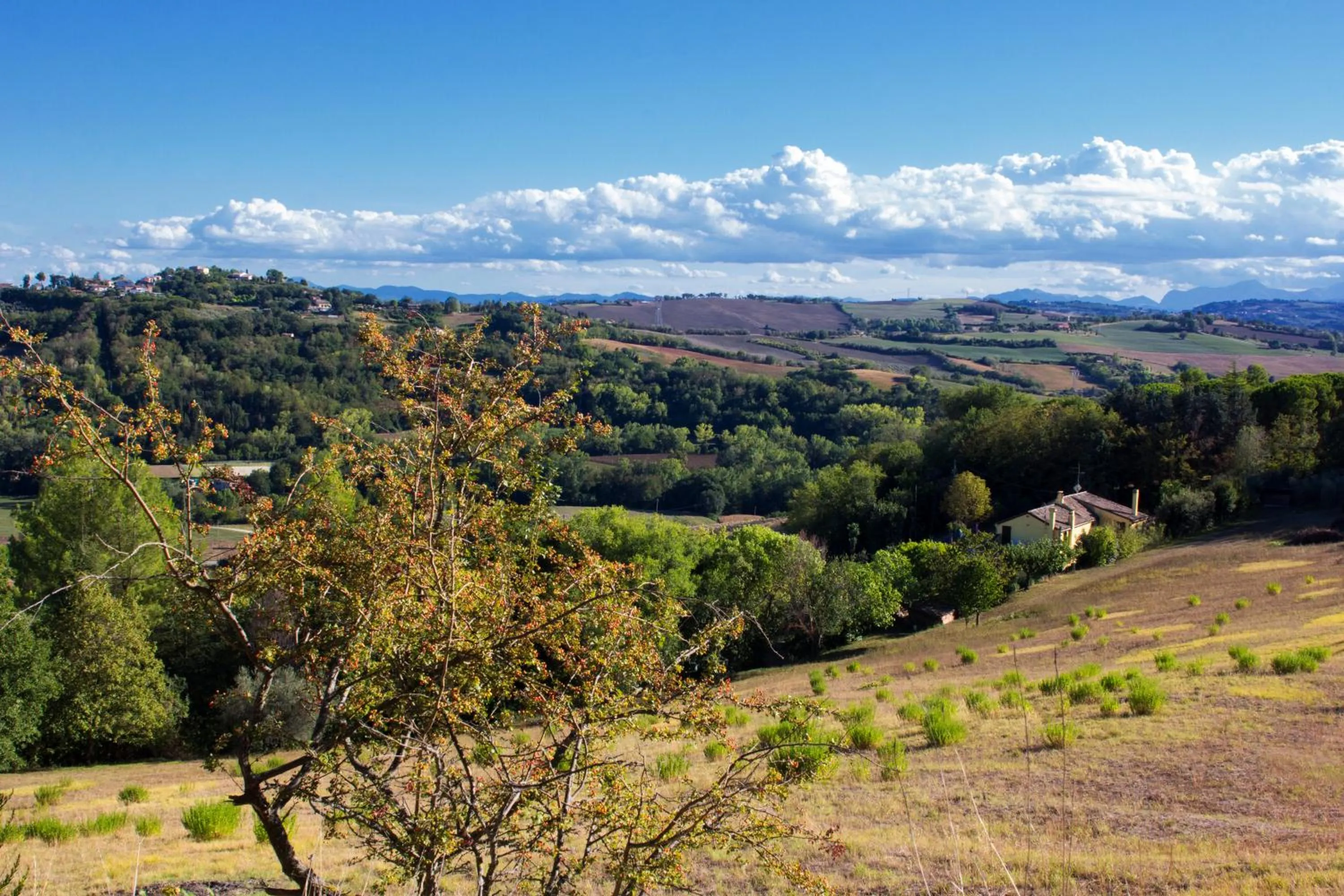 View (from property/room) in B&B Salvarosa