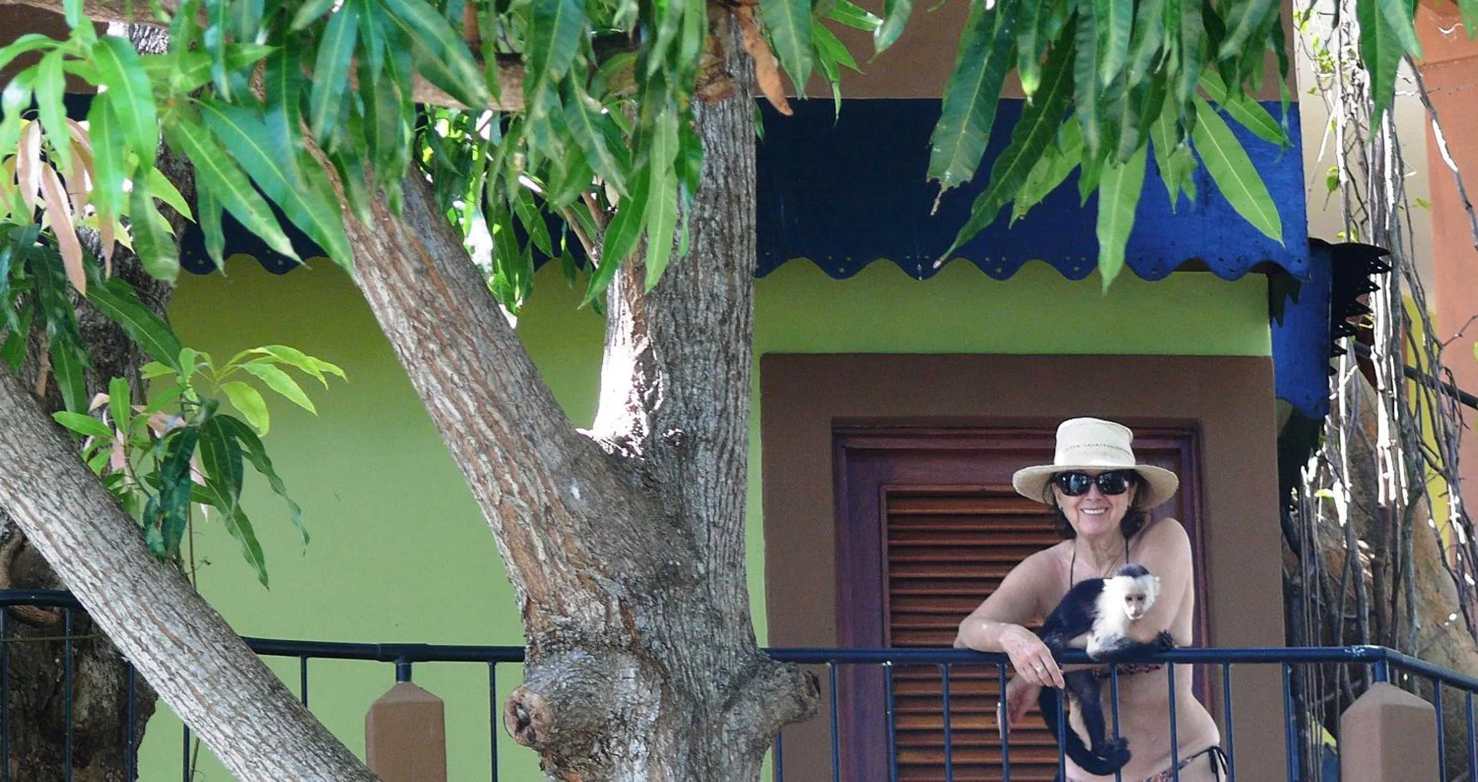 Zopango Orchids Island