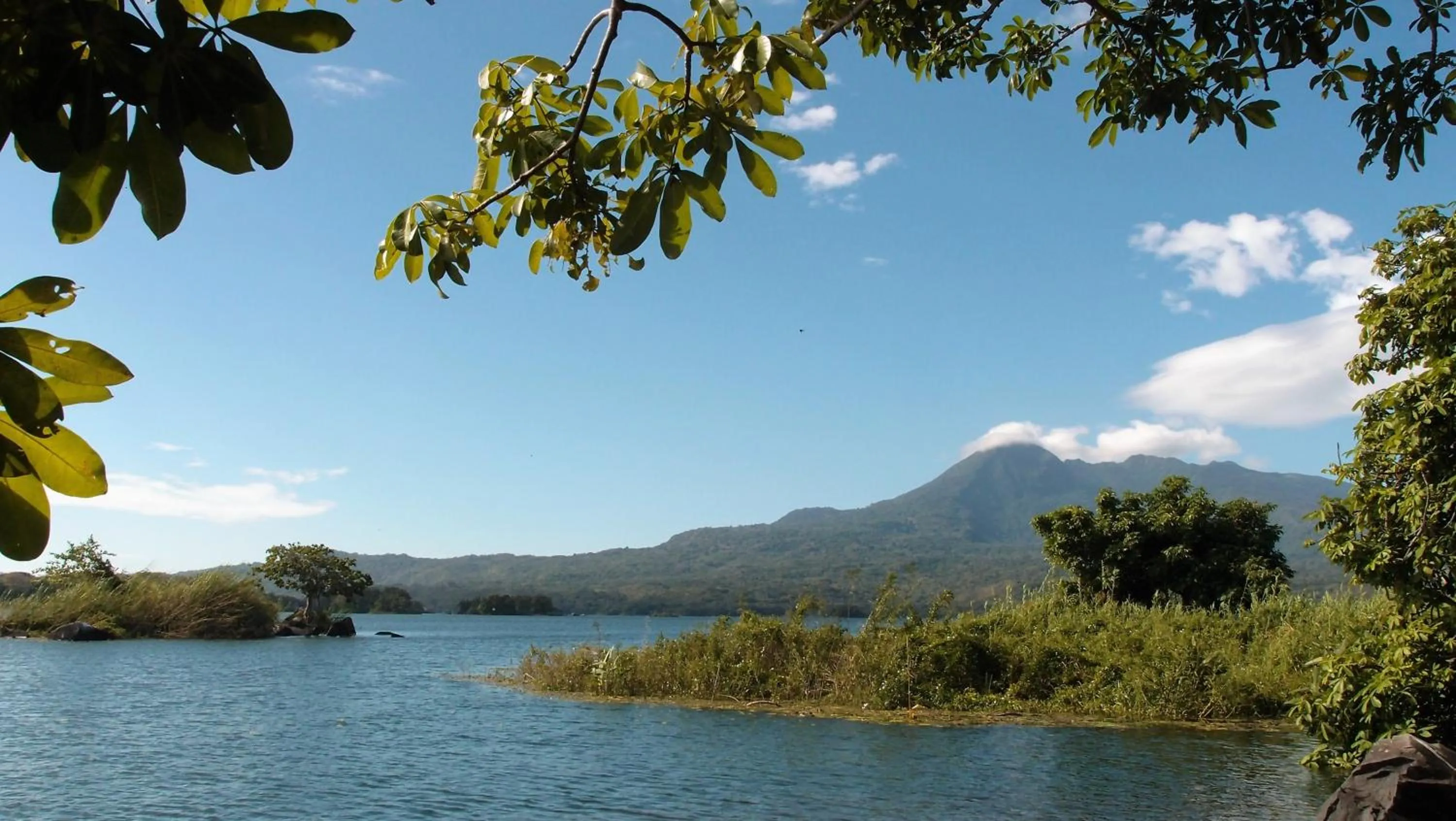 Zopango Orchids Island