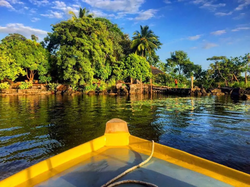 Zopango Orchids Island