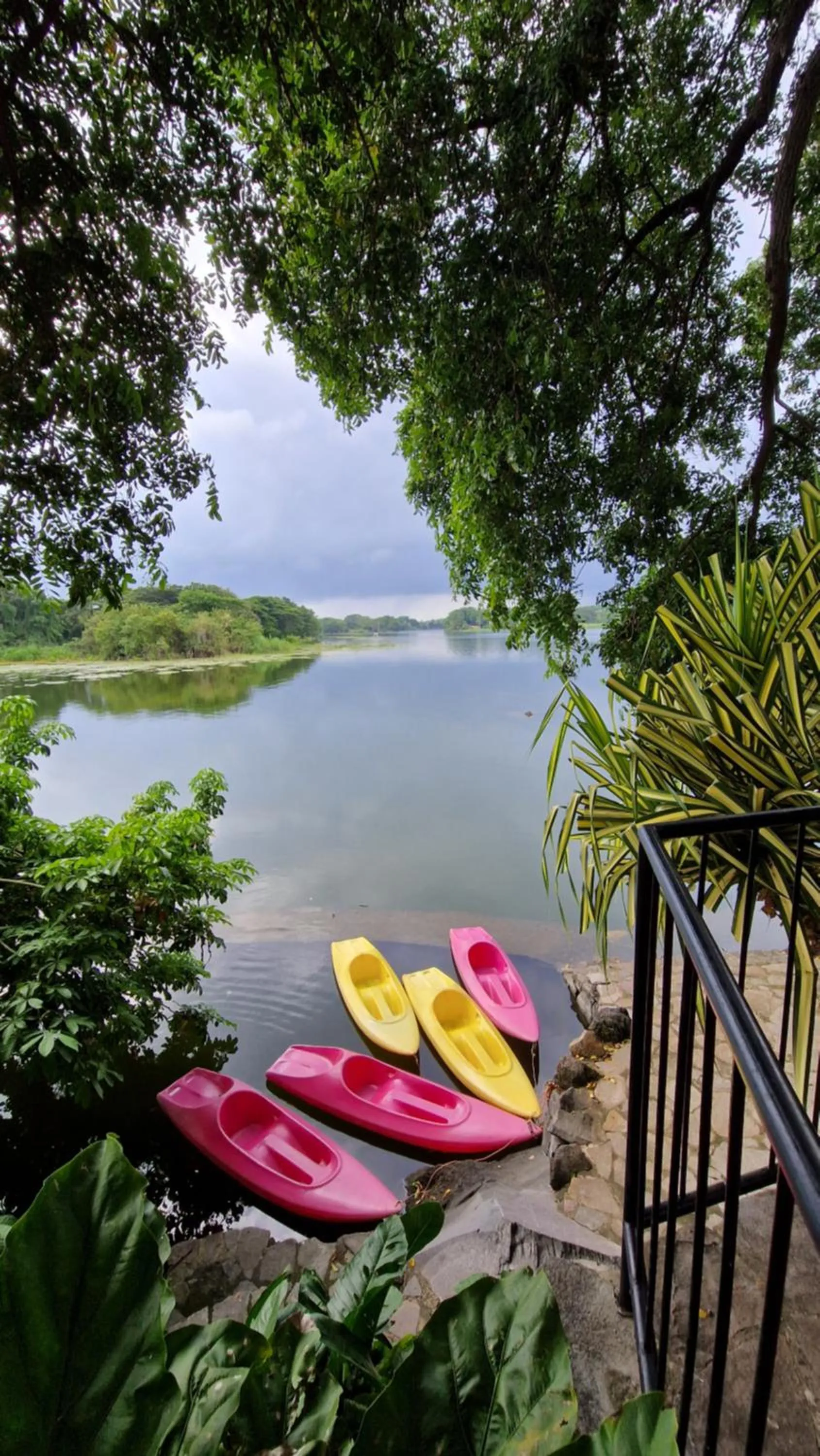 Zopango Orchids Island