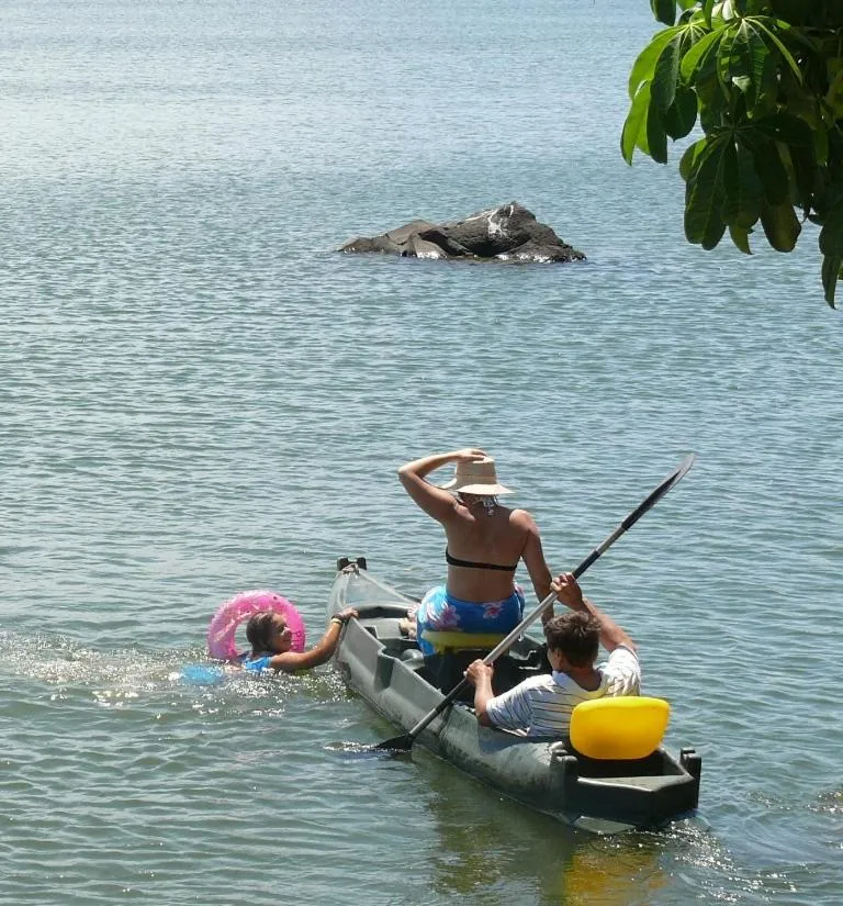 Zopango Orchids Island