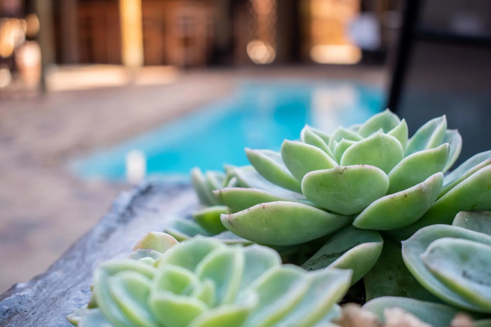 Decorative detail in Balmoral Lodge