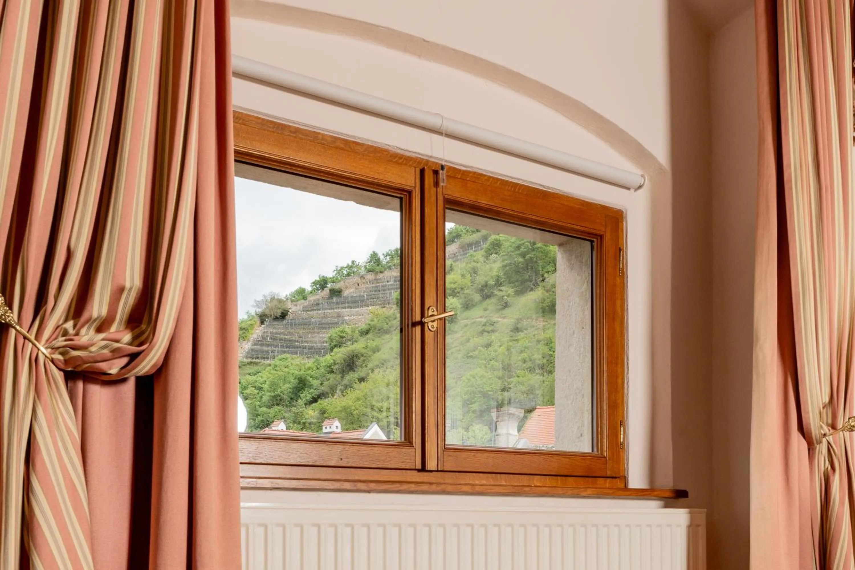 Mountain view in Hotel Schloss Dürnstein