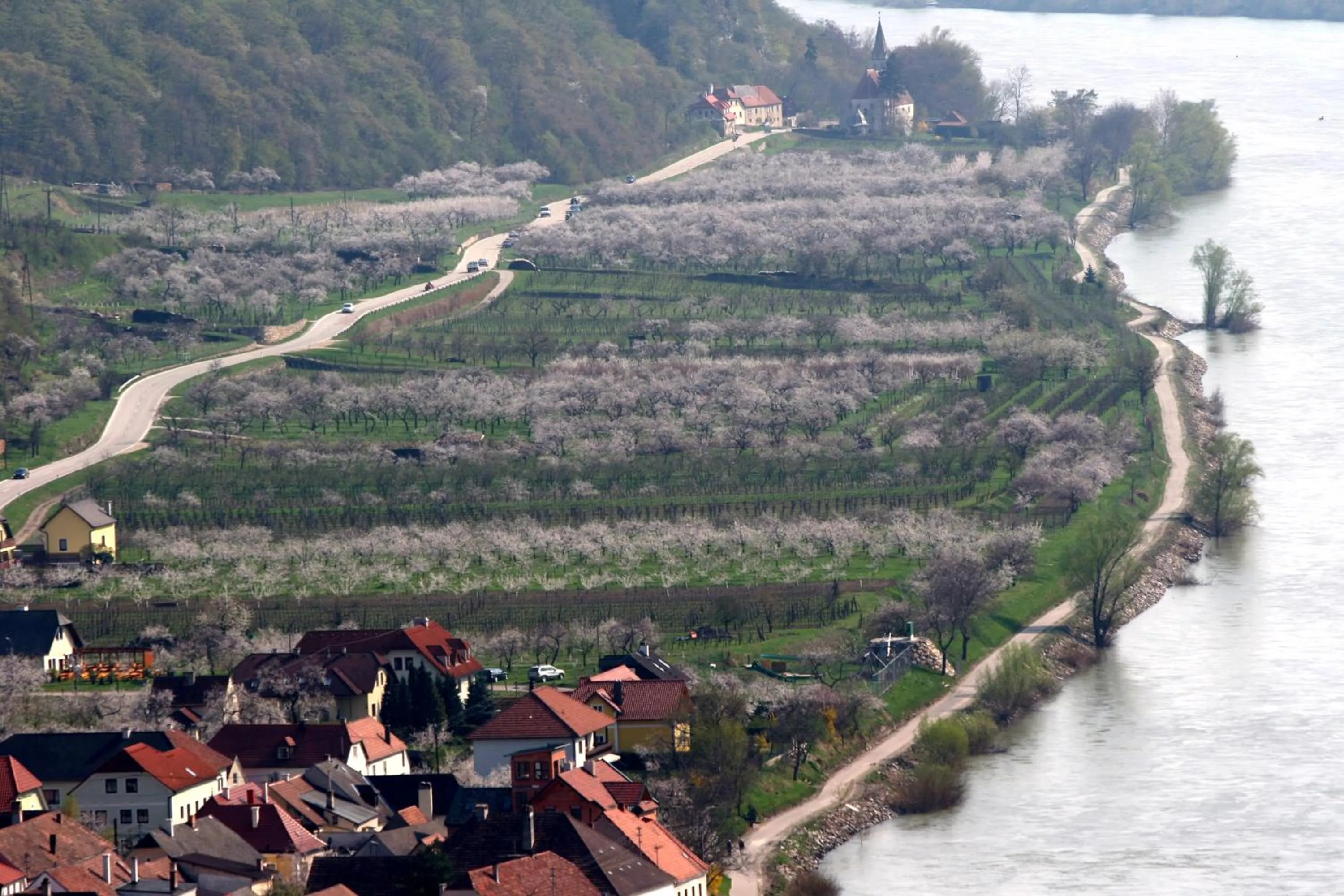 Natural landscape in Hotel Schloss Dürnstein