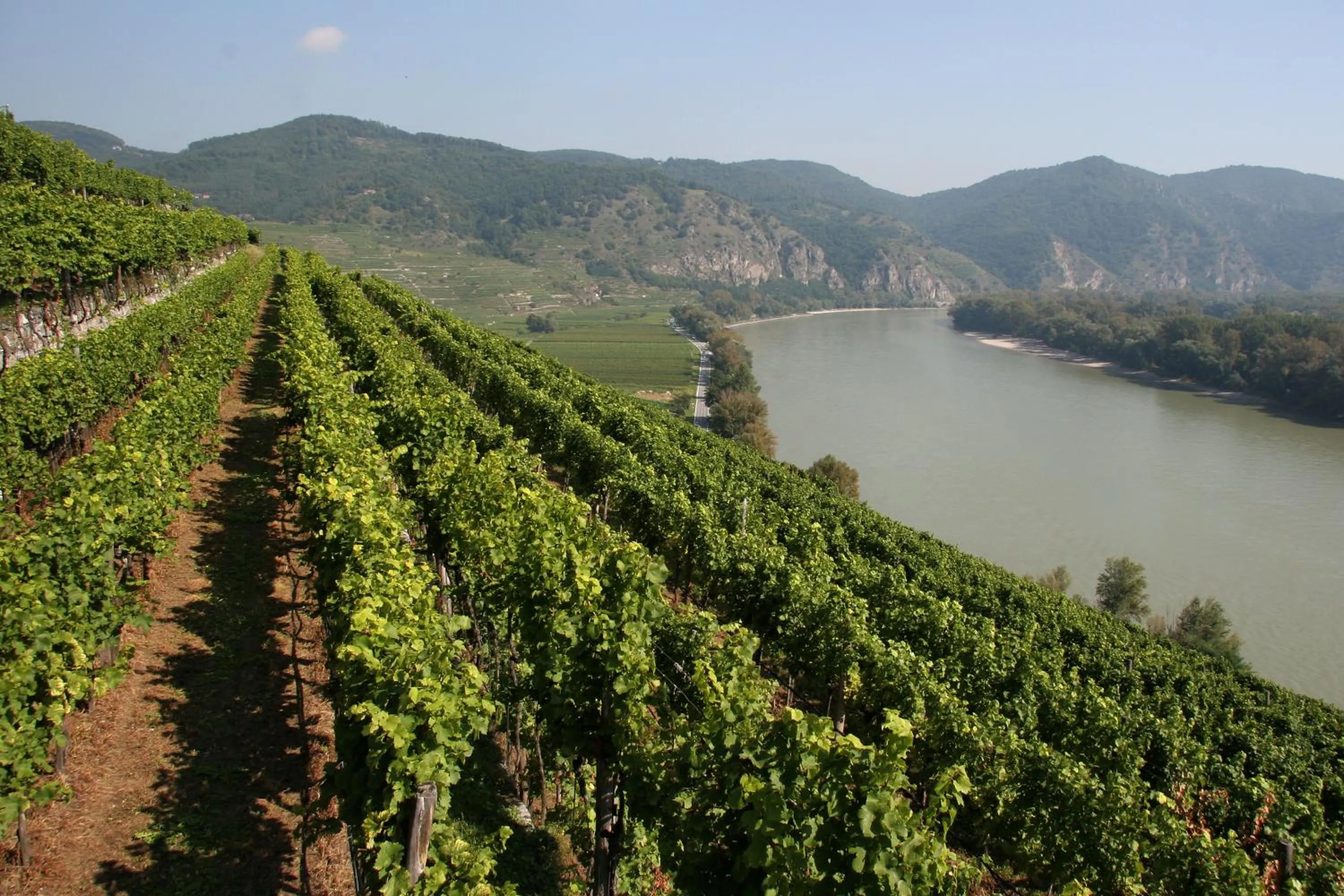 Natural landscape in Hotel Schloss Dürnstein