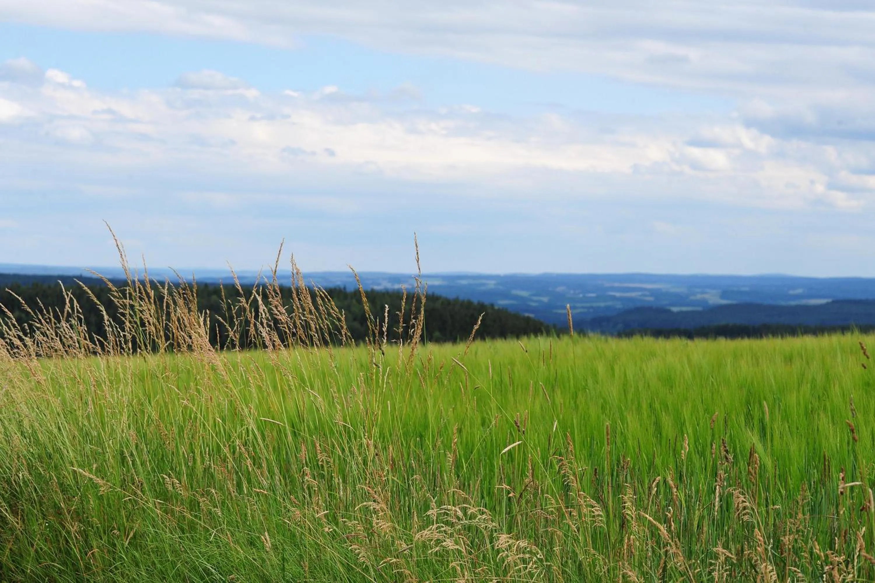Hiking in Landhotel Plauen - Gasthof Zwoschwitz