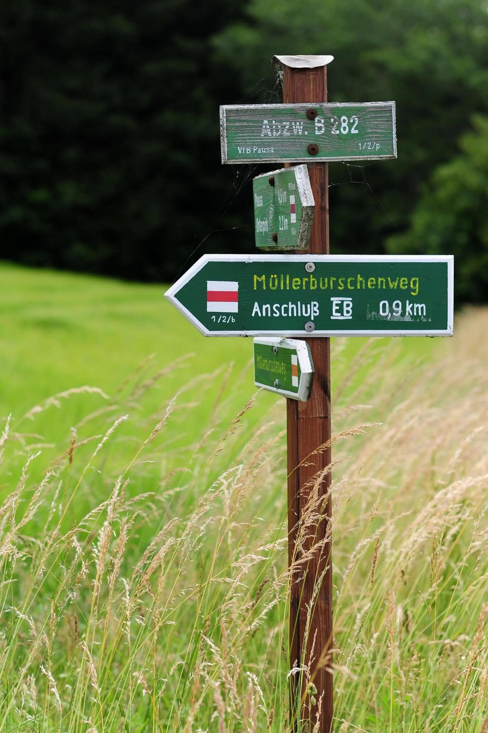 Hiking in Landhotel Plauen - Gasthof Zwoschwitz