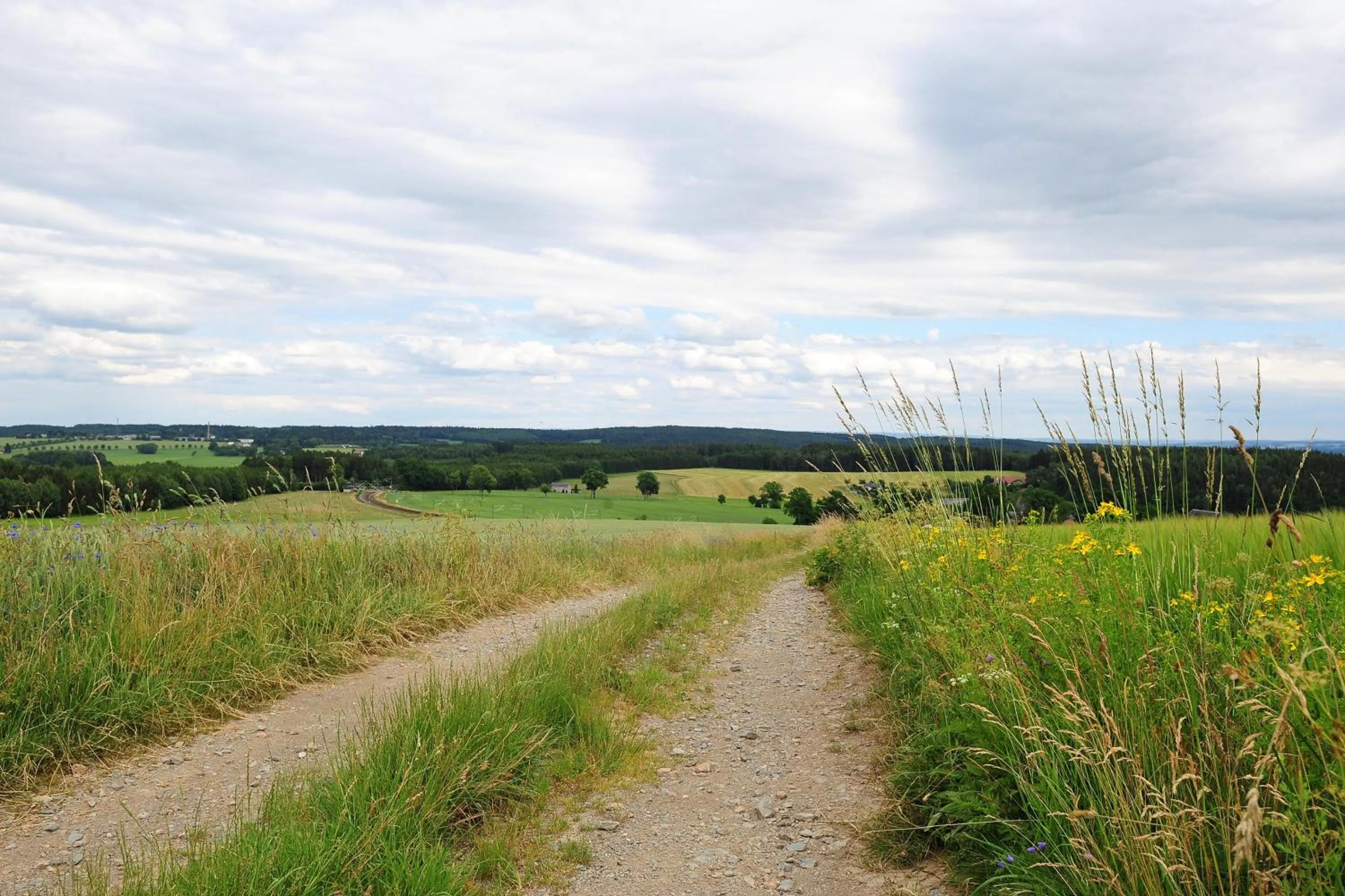 Hiking in Landhotel Plauen - Gasthof Zwoschwitz