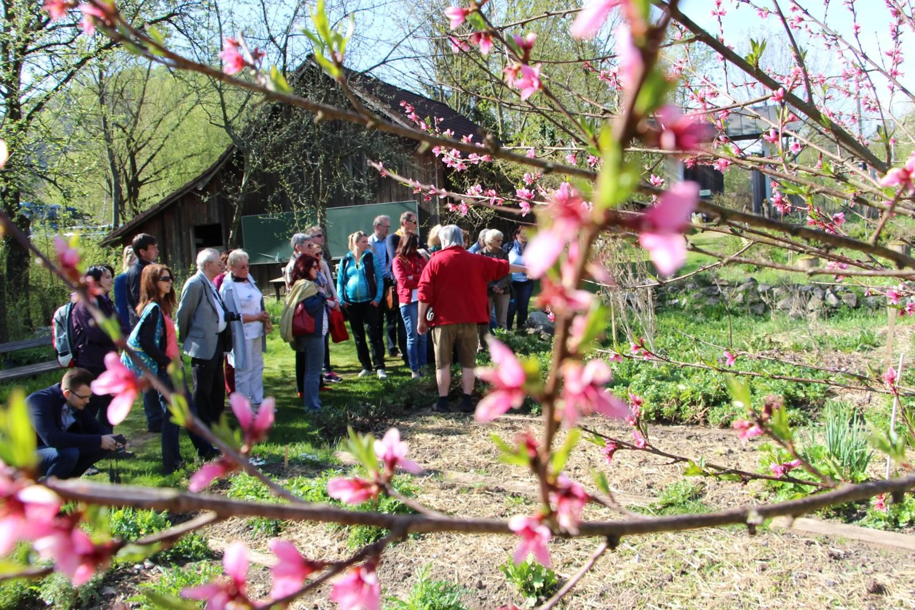 Garden in Steinschalerhof