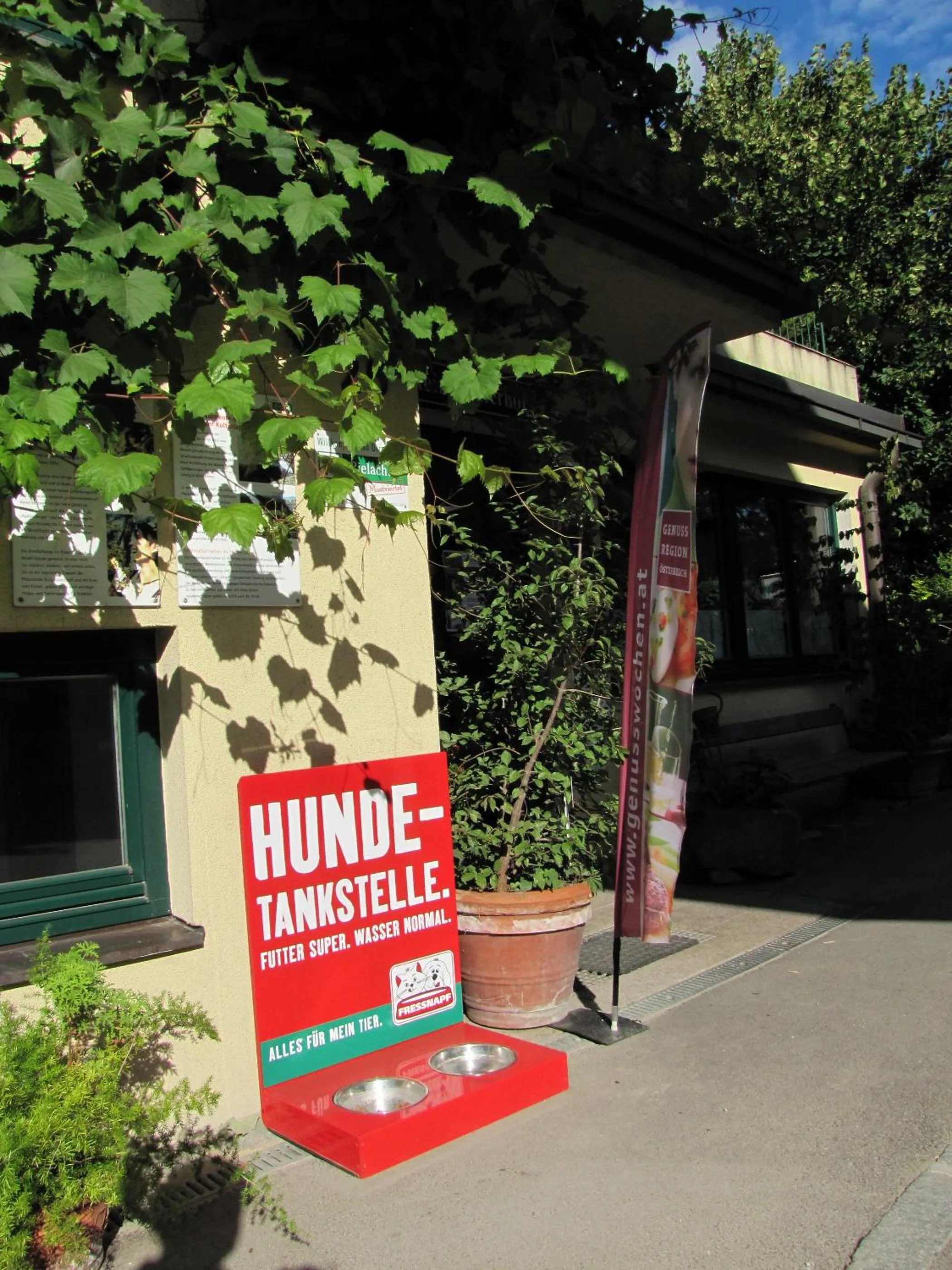 Pets in Steinschalerhof