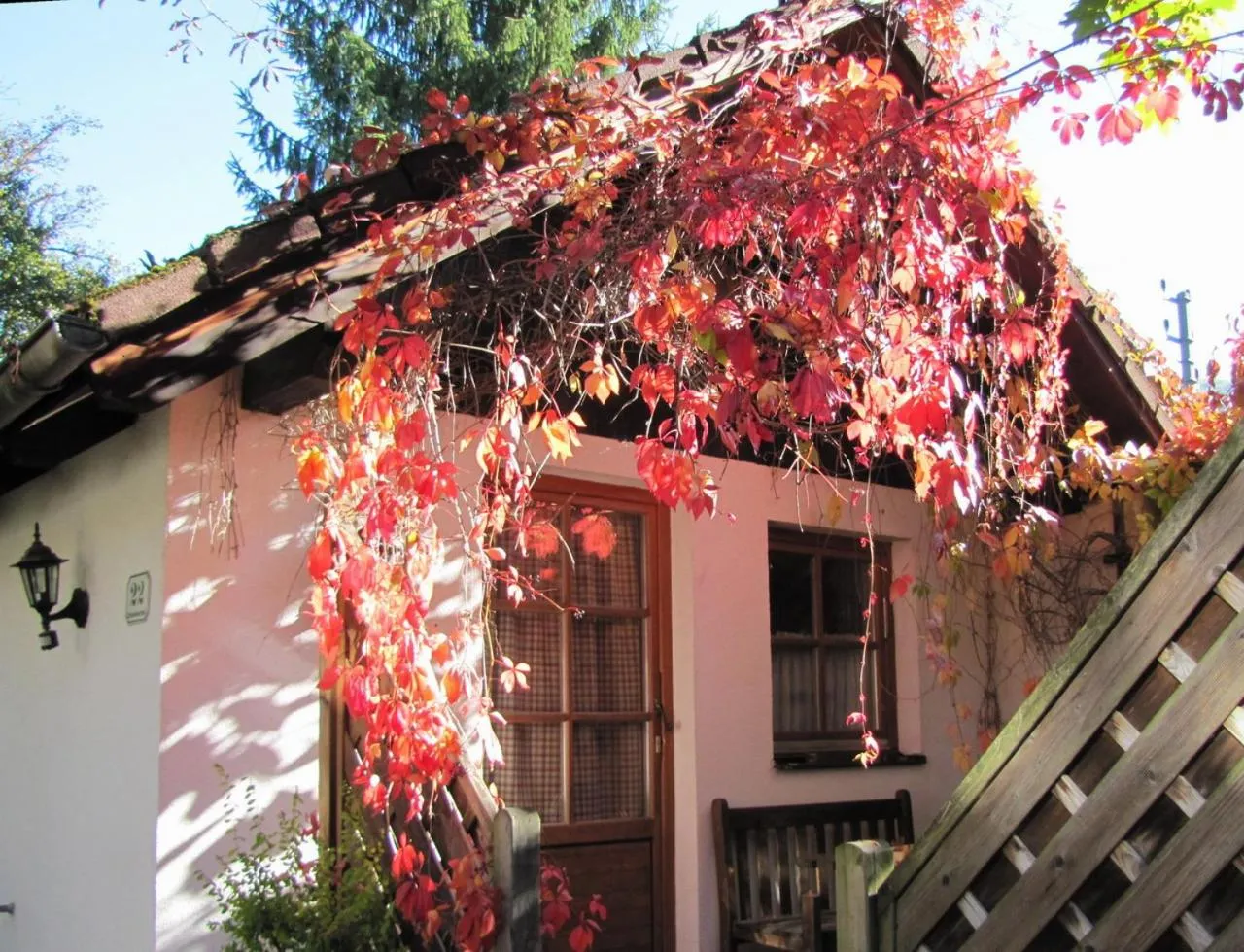Property building in Steinschalerhof