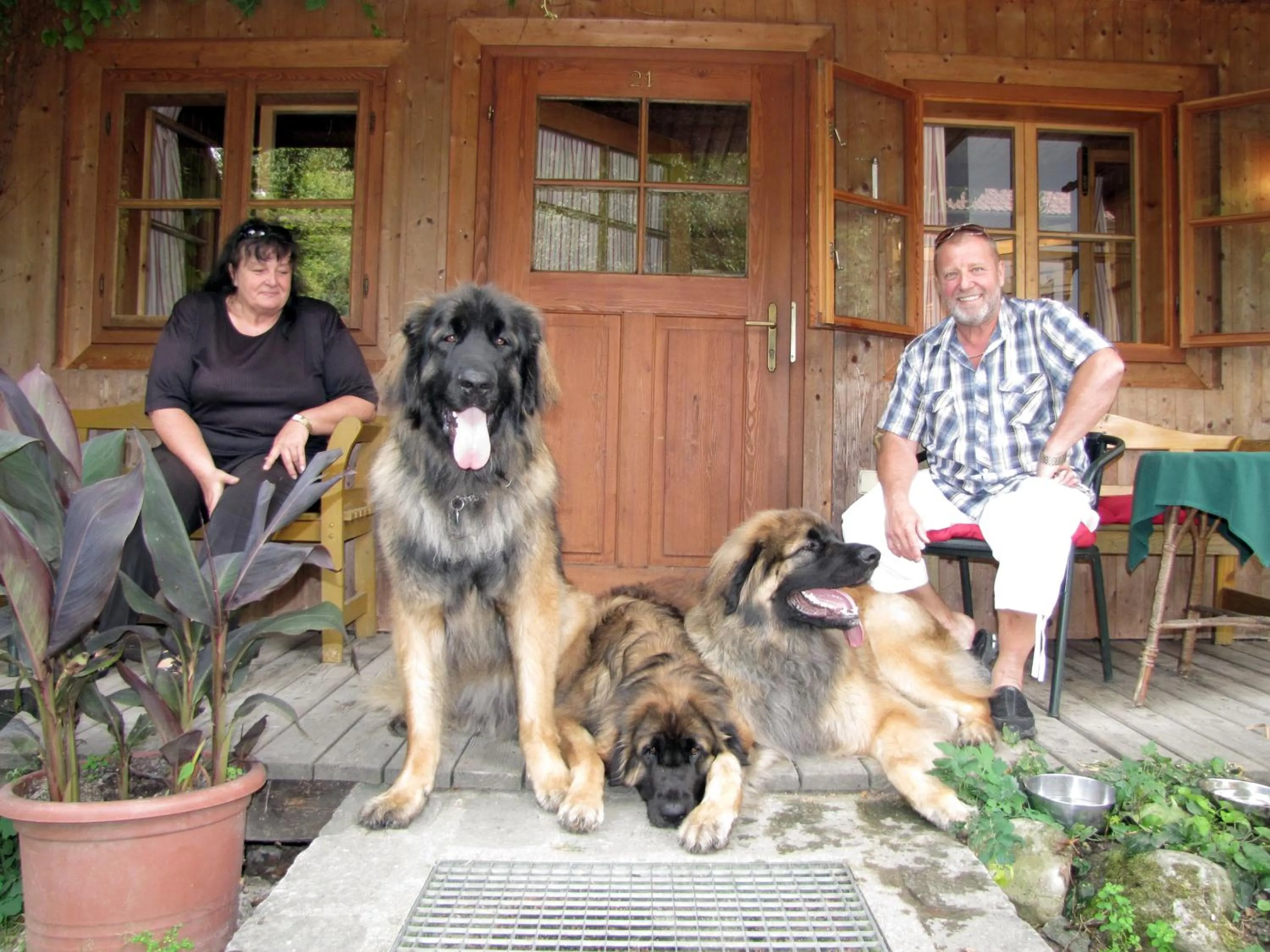 Pets in Steinschalerhof