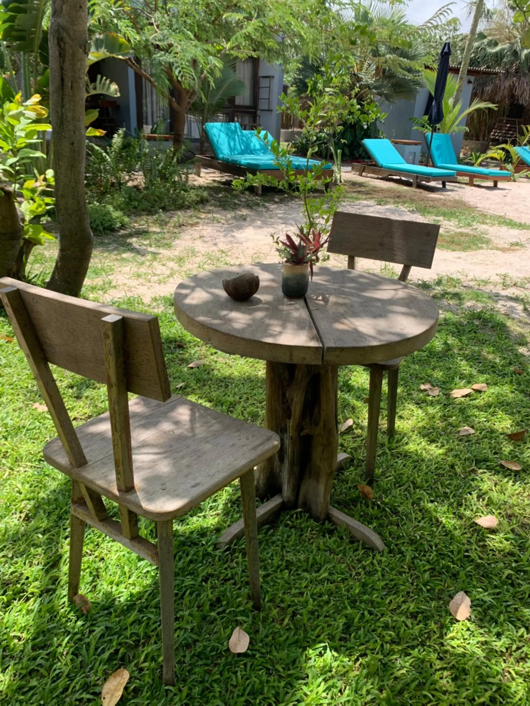 Garden in Vila das Águas