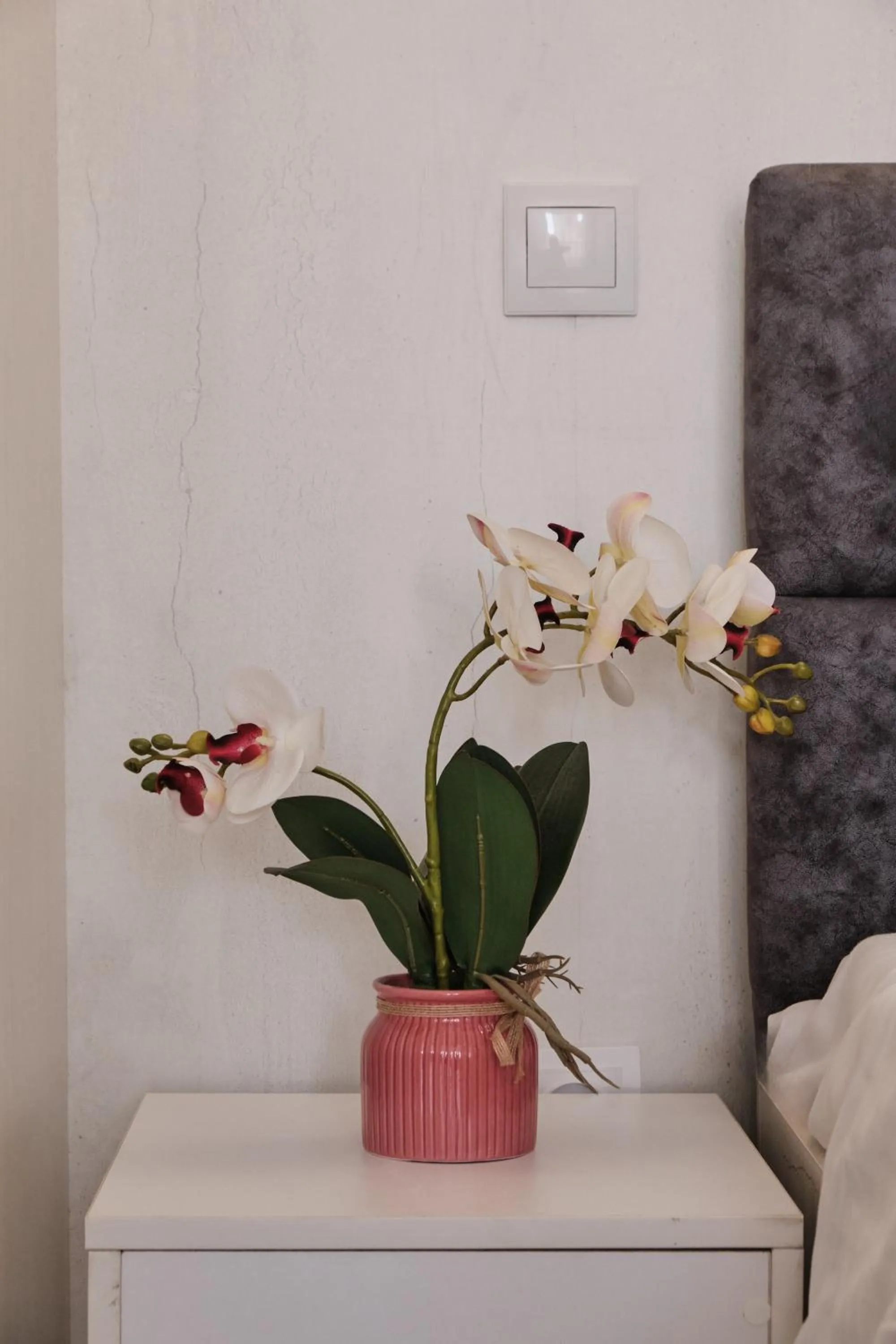 Seven City Apartments