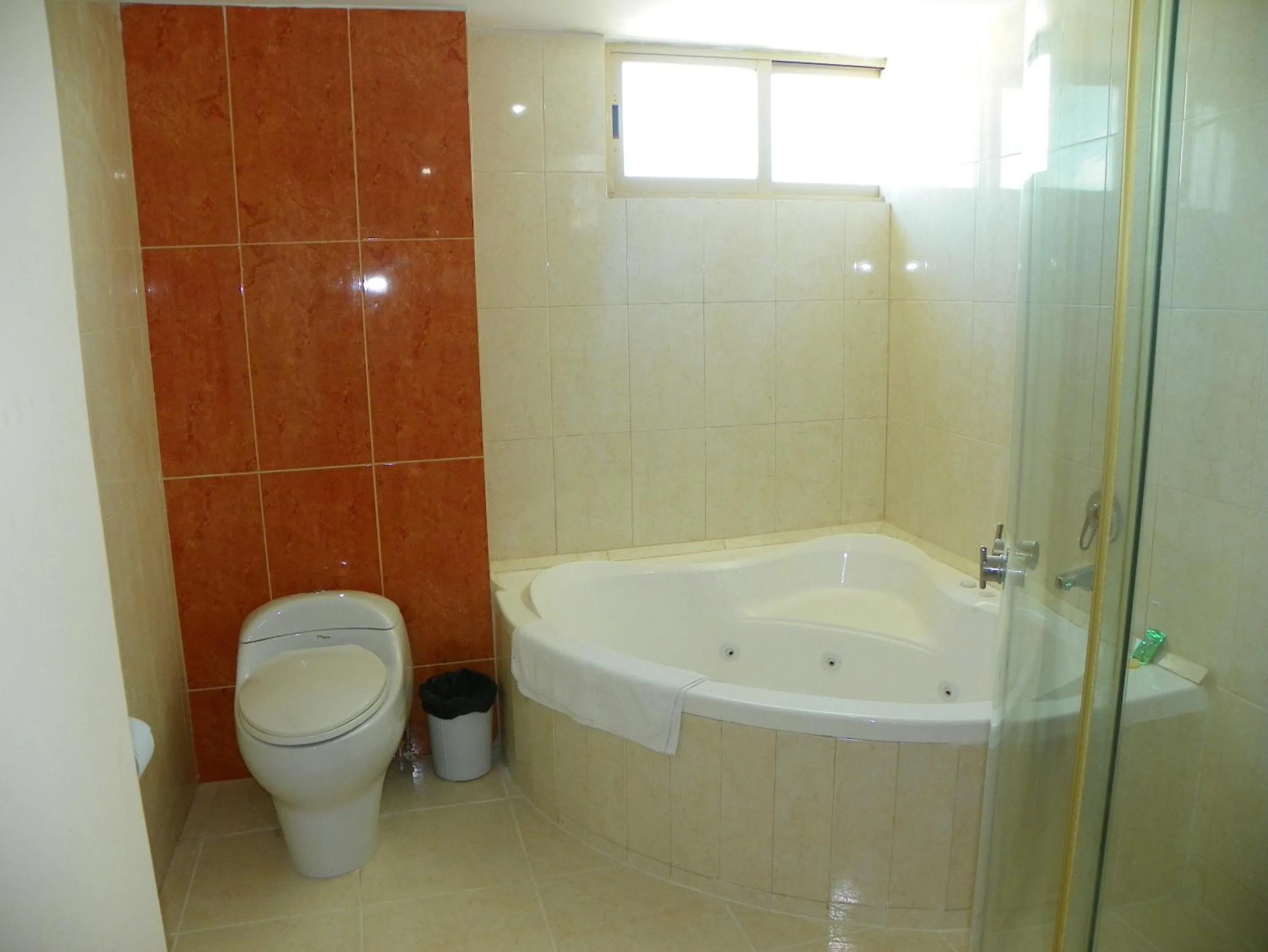 Decorative detail in Hotel El Marques