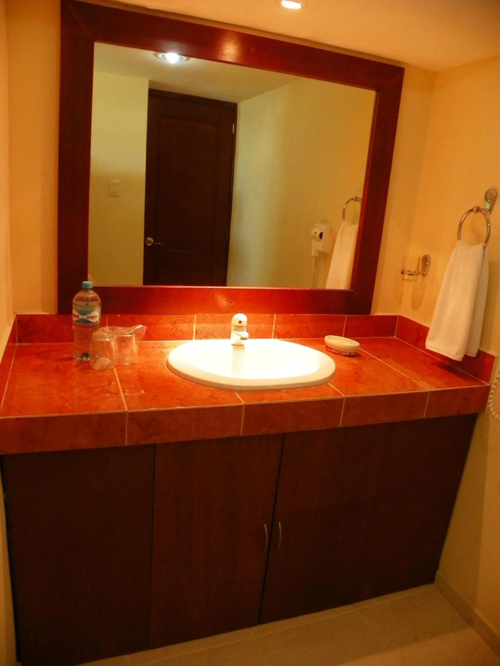 Photo of the whole room in Hotel El Marques