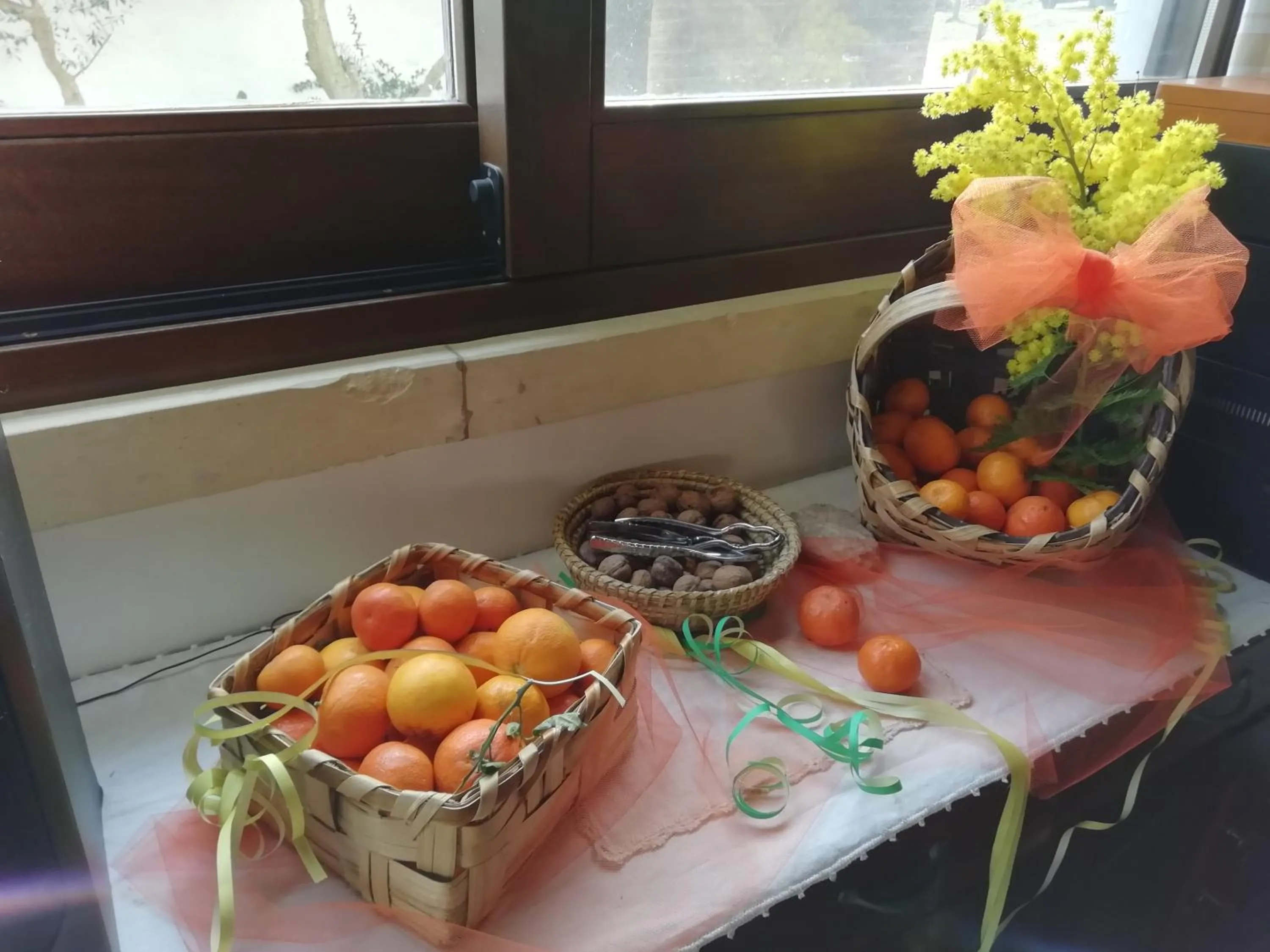 Day in B&B Badde Cubas