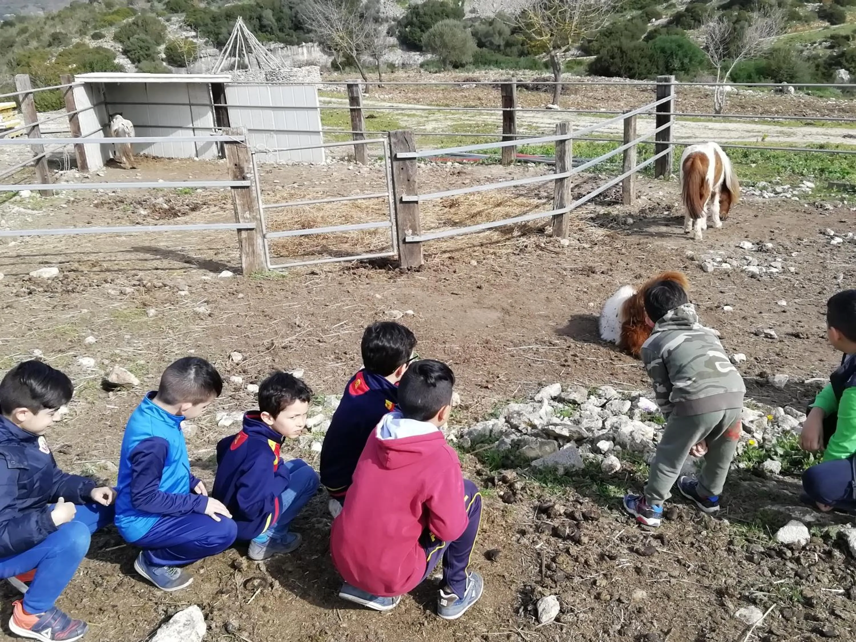 Day in B&B Badde Cubas