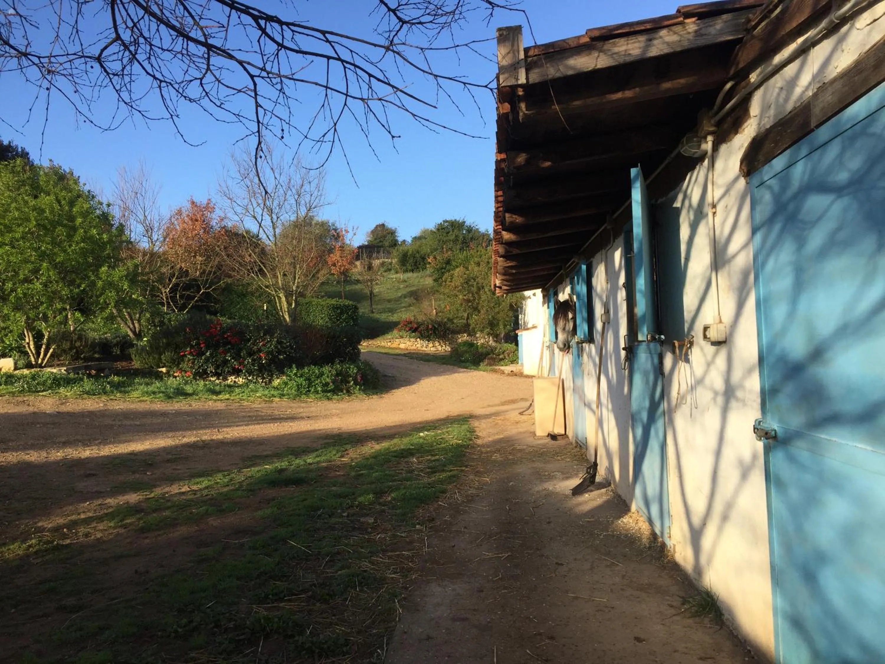 Garden in B&B Badde Cubas