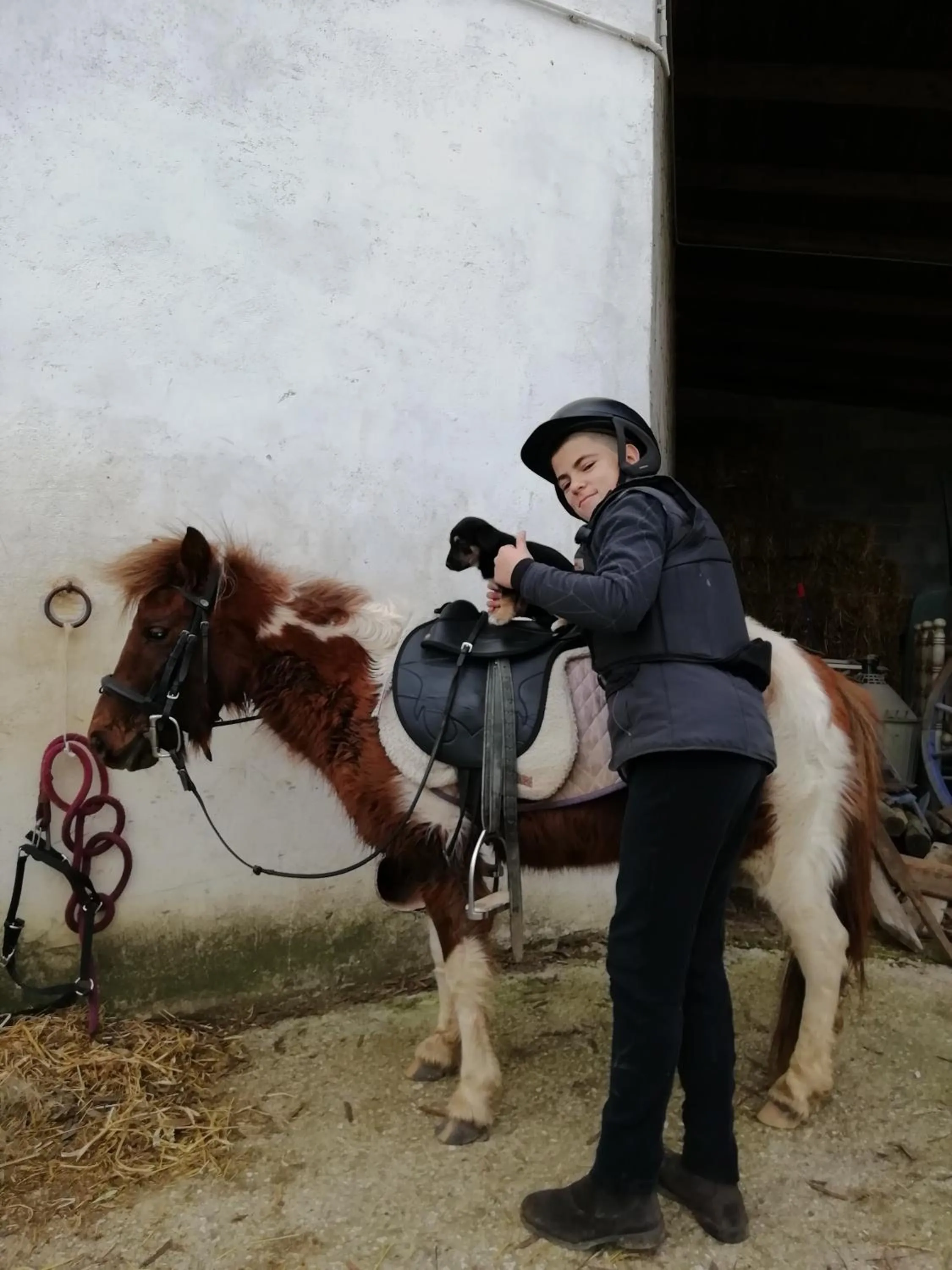 Horse-riding in B&B Badde Cubas