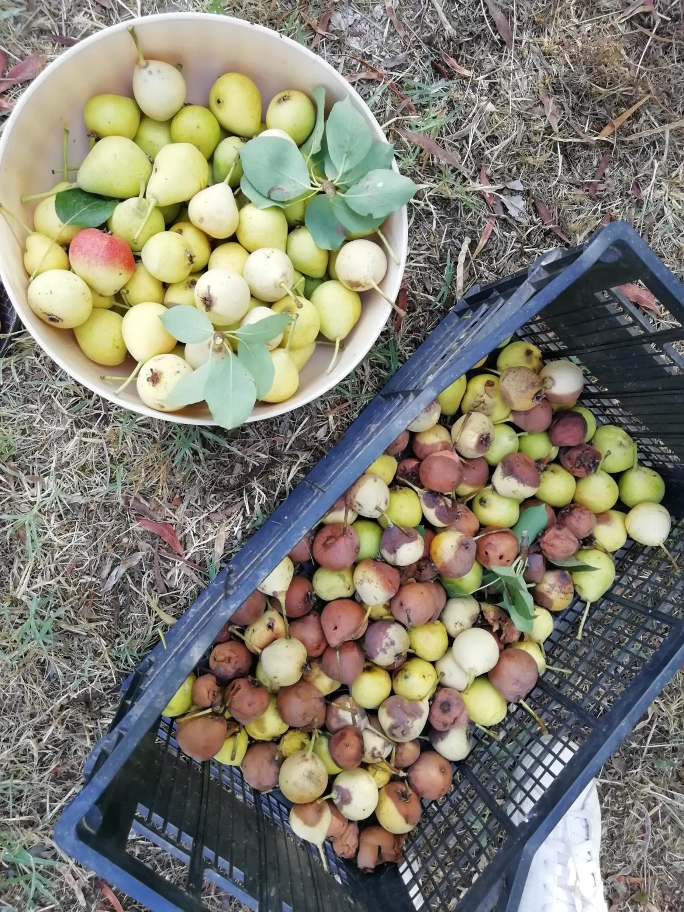 Activities in B&B Badde Cubas