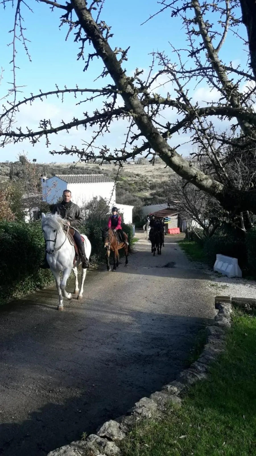 Horse-riding in B&B Badde Cubas