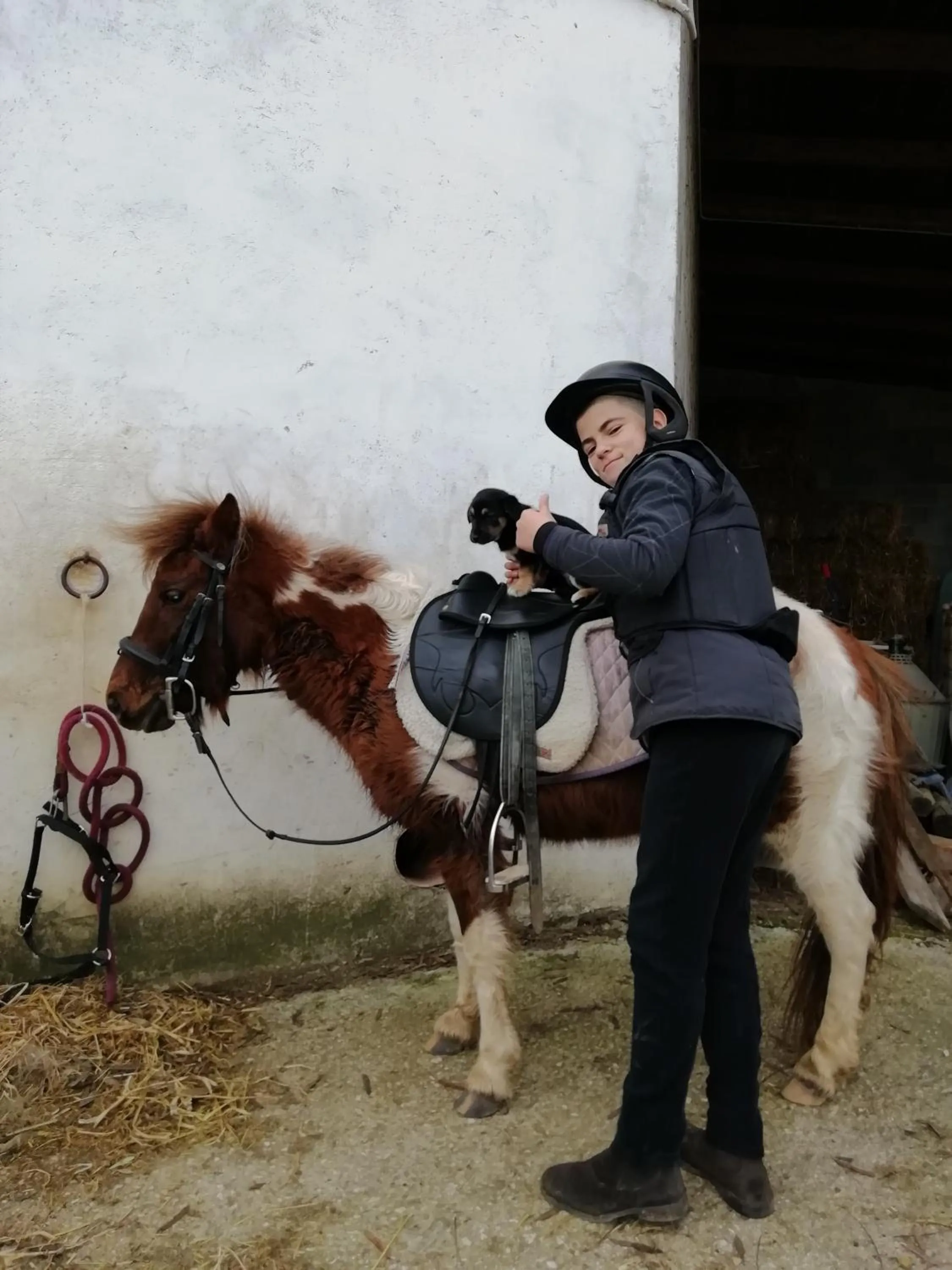 Horse-riding in B&B Badde Cubas