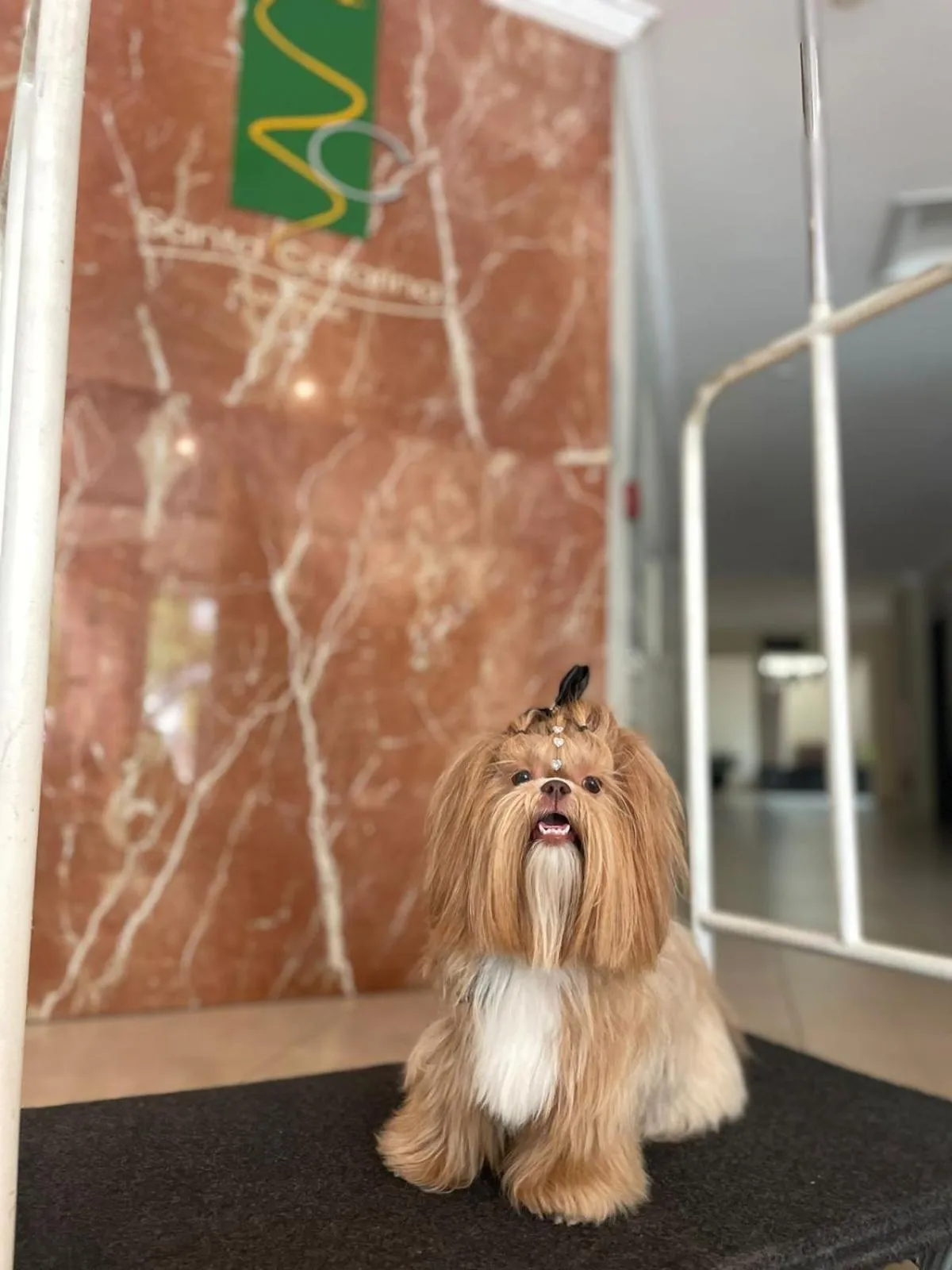 Santa Catarina Plaza Hotel