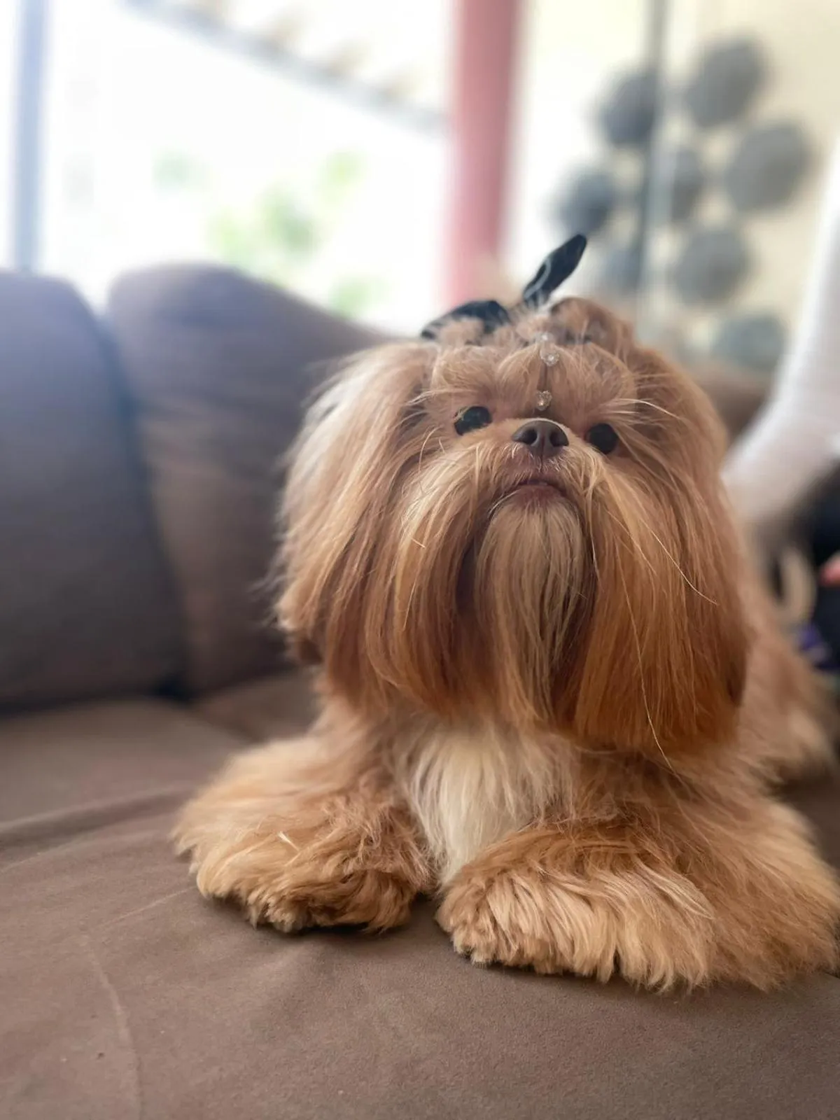 Santa Catarina Plaza Hotel