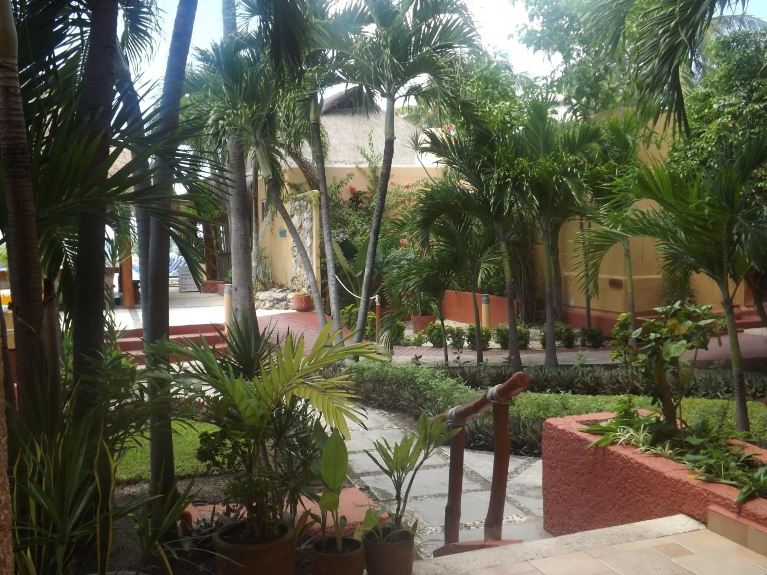 Garden in Nautibeach Beach Front Condos in North Beach