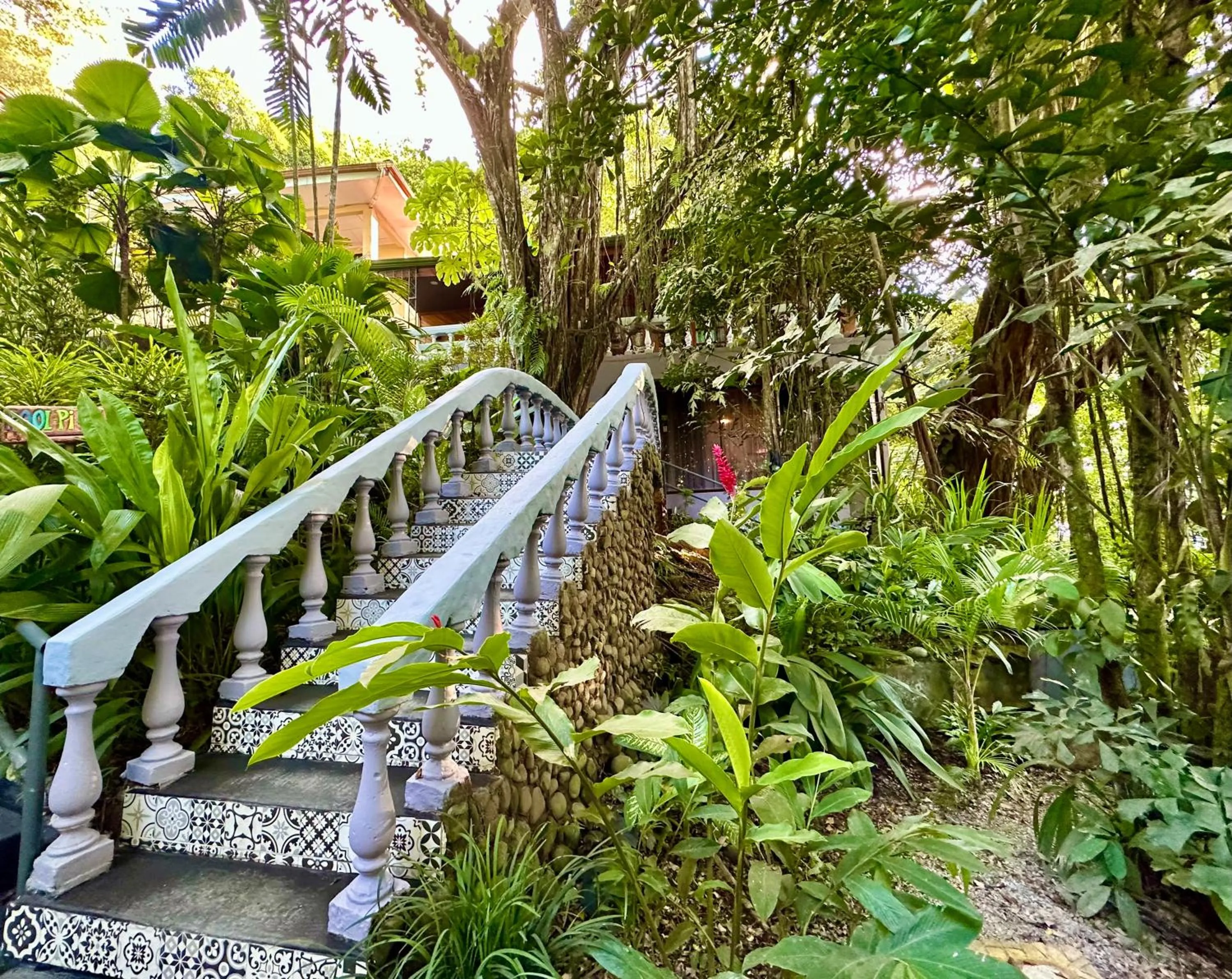 Garden in Jungle Beach Hotel Manuel Antonio