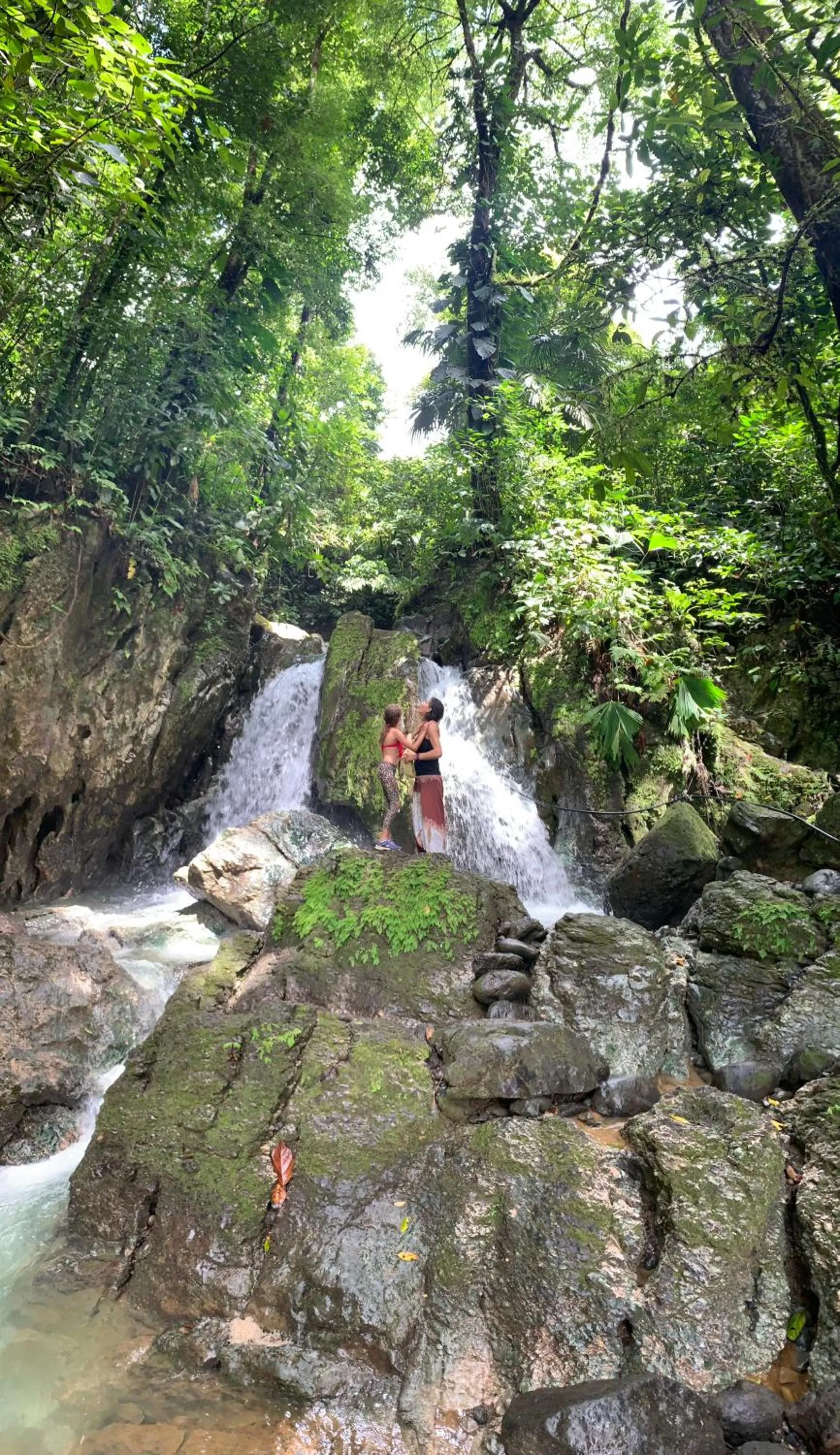 Natural landscape in Jungle Beach Hotel Manuel Antonio