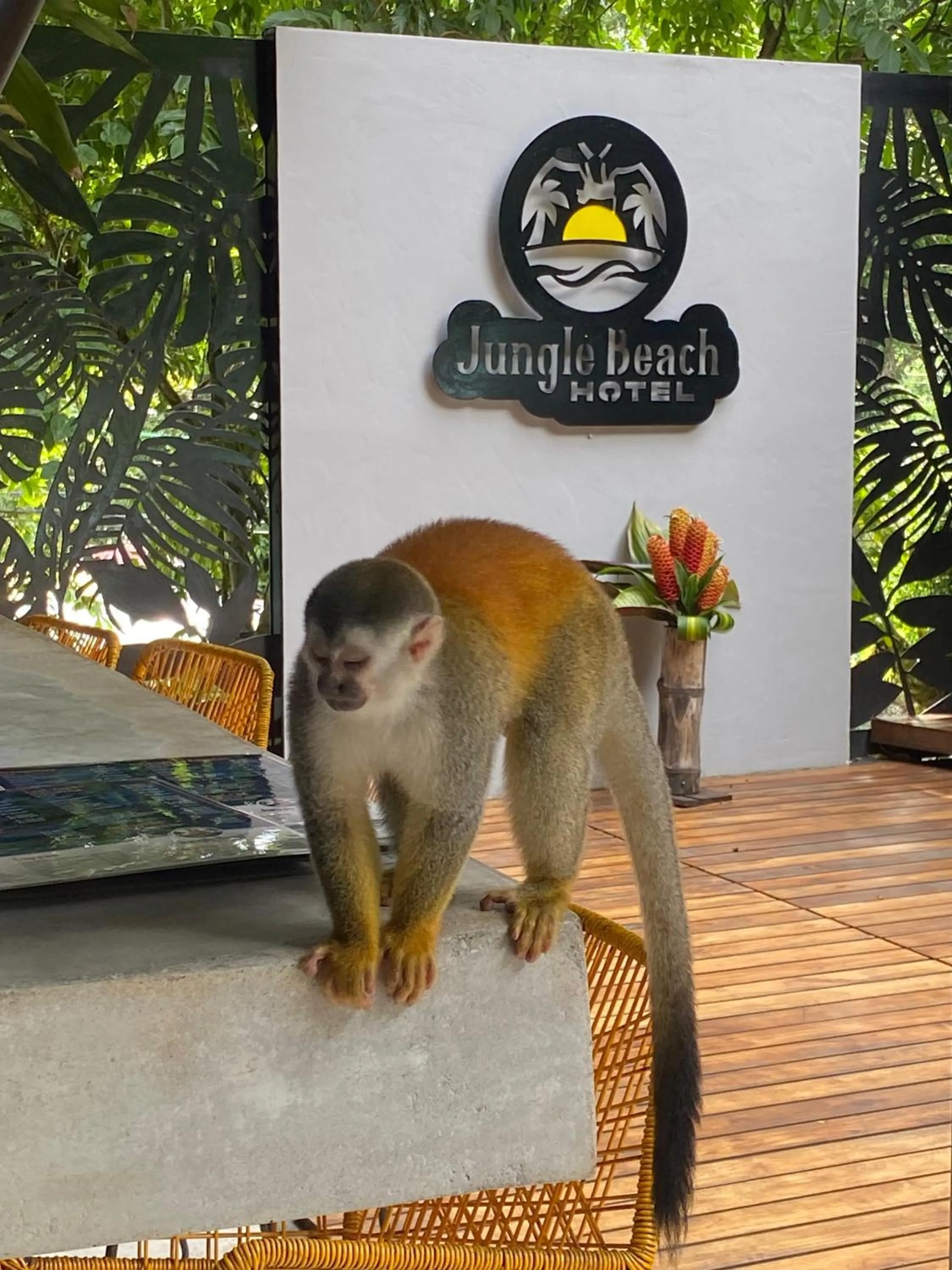 Restaurant/places to eat in Jungle Beach Hotel Manuel Antonio