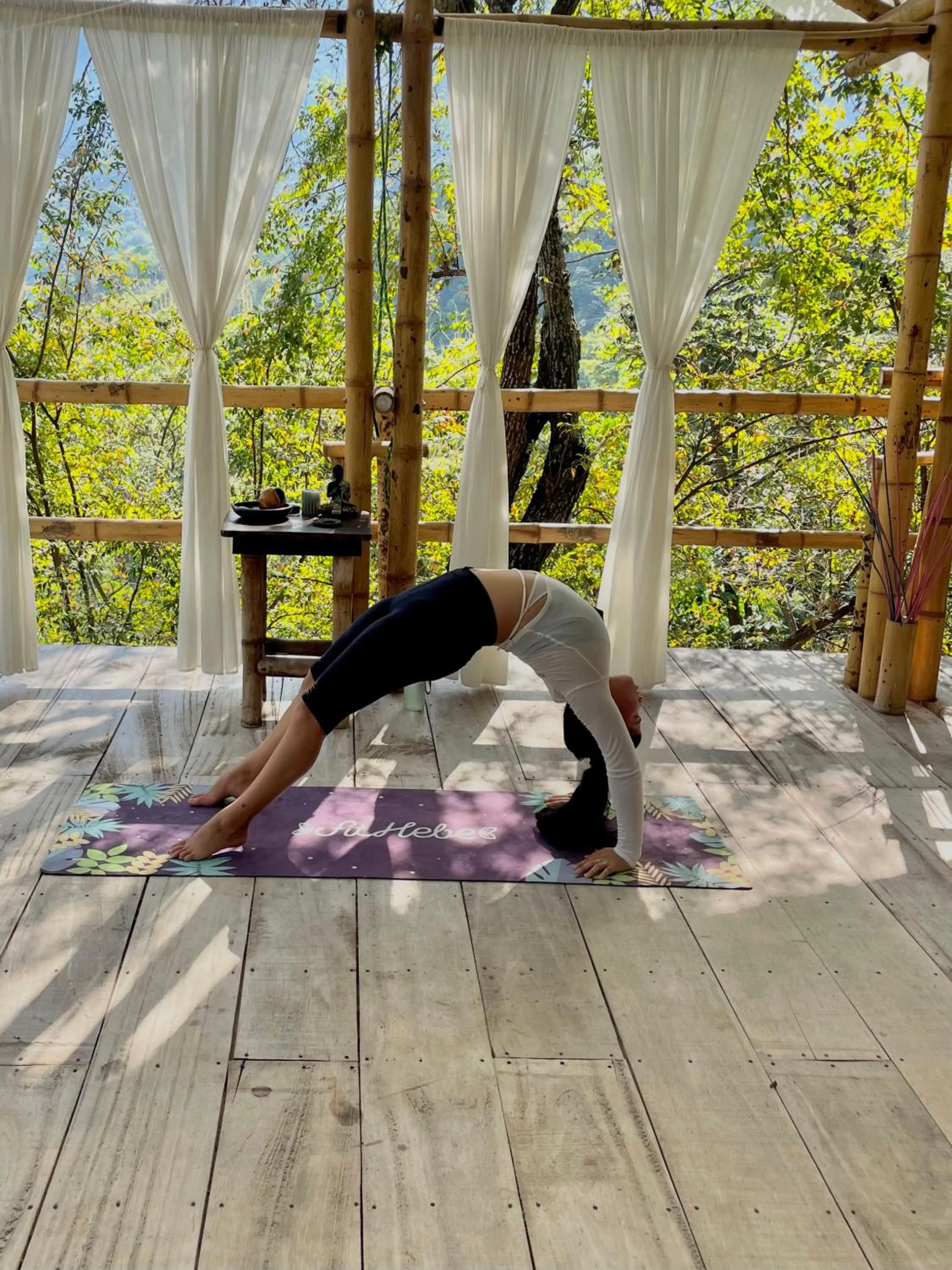 Activities in Minca Ecohabs Hotel