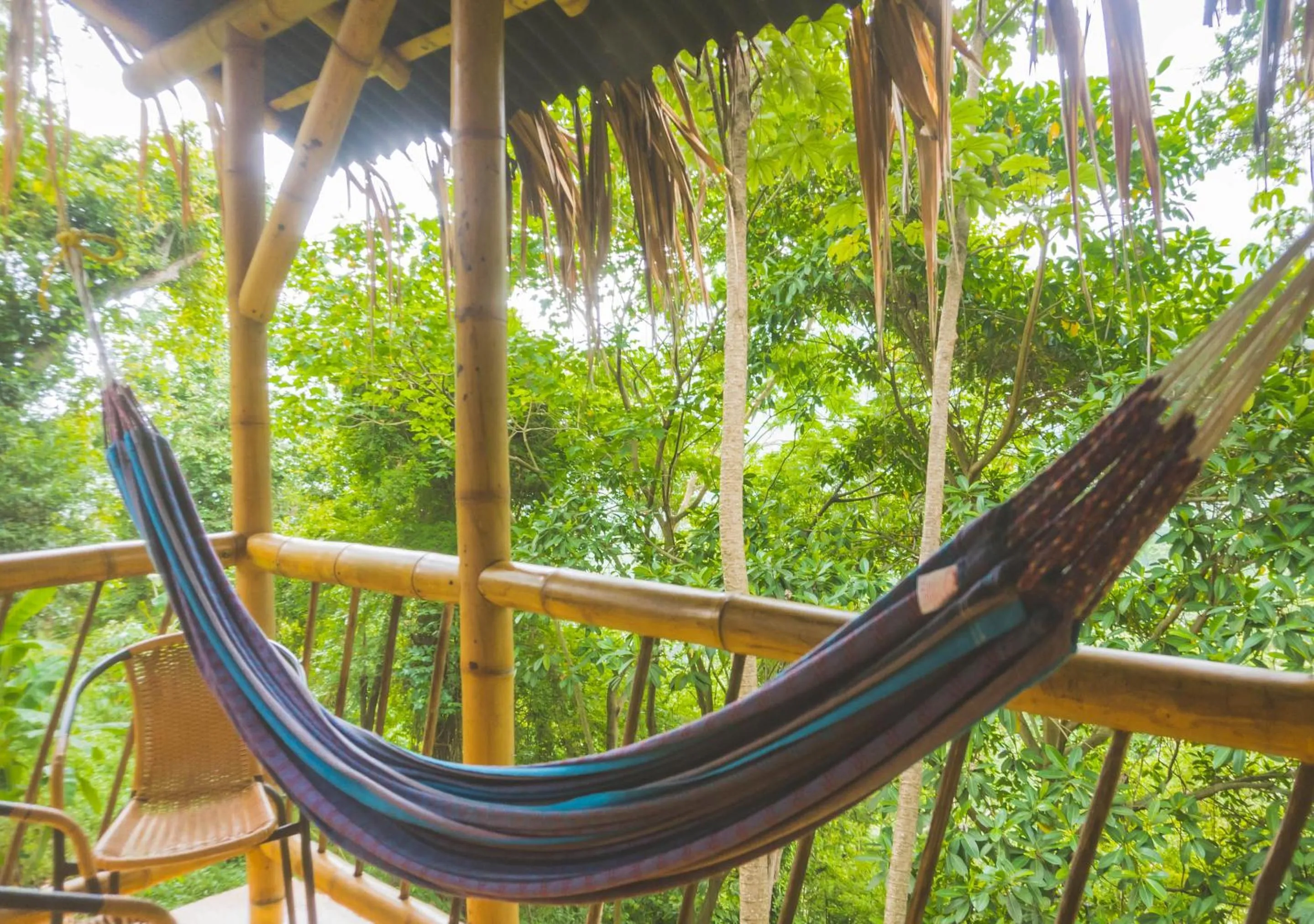 Natural landscape in Minca Ecohabs Hotel