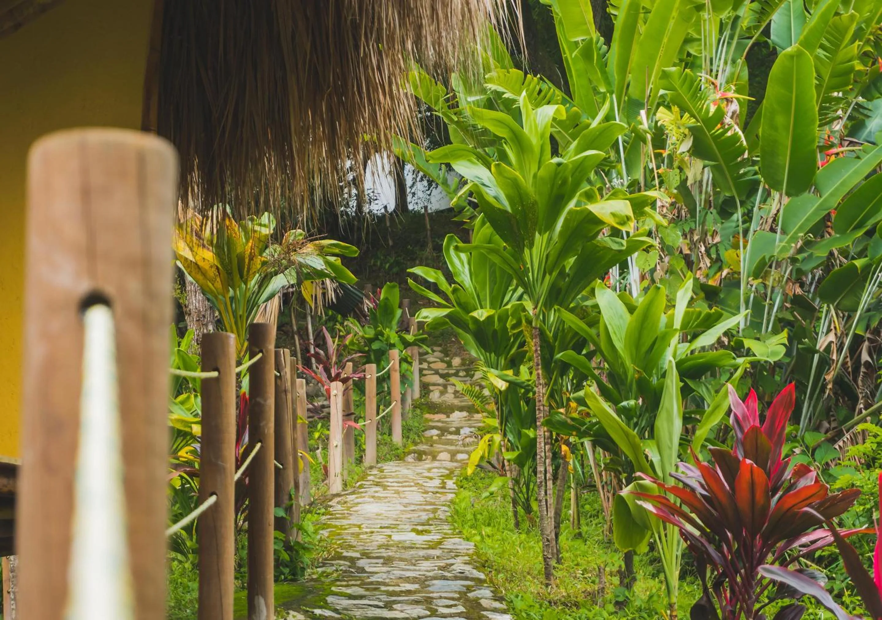 Natural landscape in Minca Ecohabs Hotel