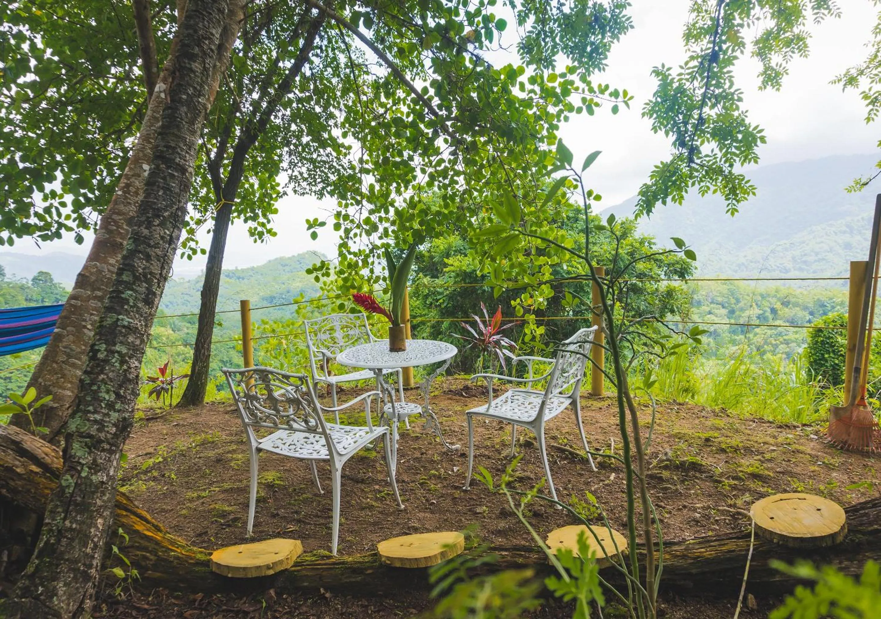 Patio in Minca Ecohabs Hotel