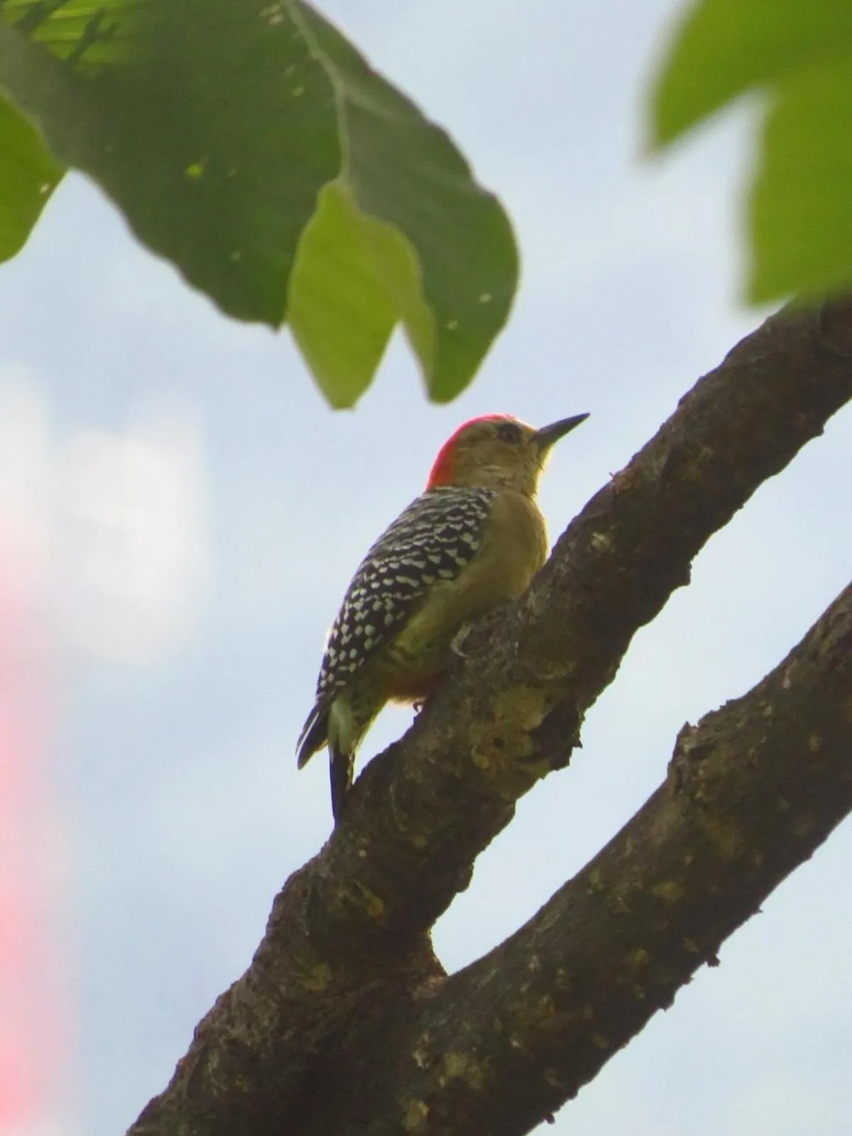 Activities in Minca Ecohabs Hotel