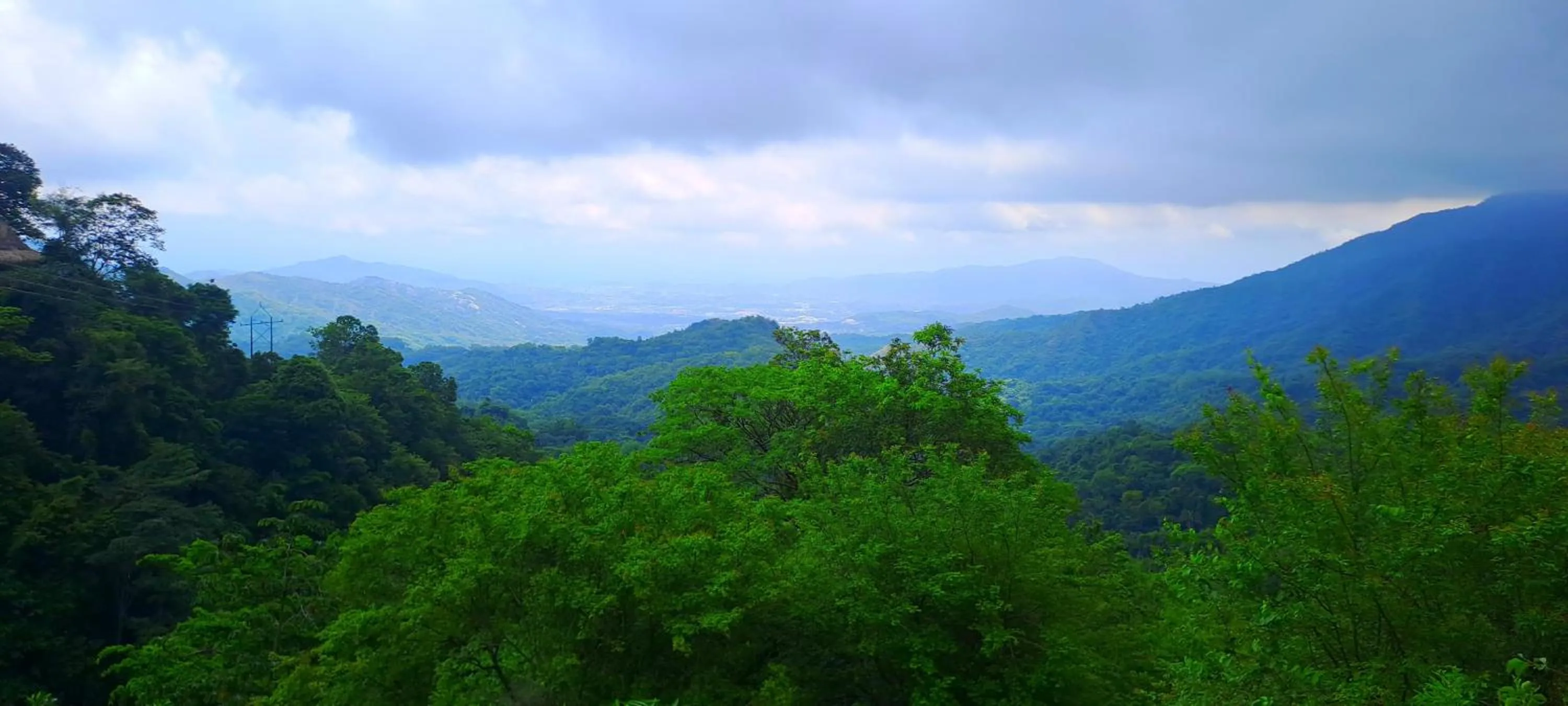 Natural landscape in Minca Ecohabs Hotel