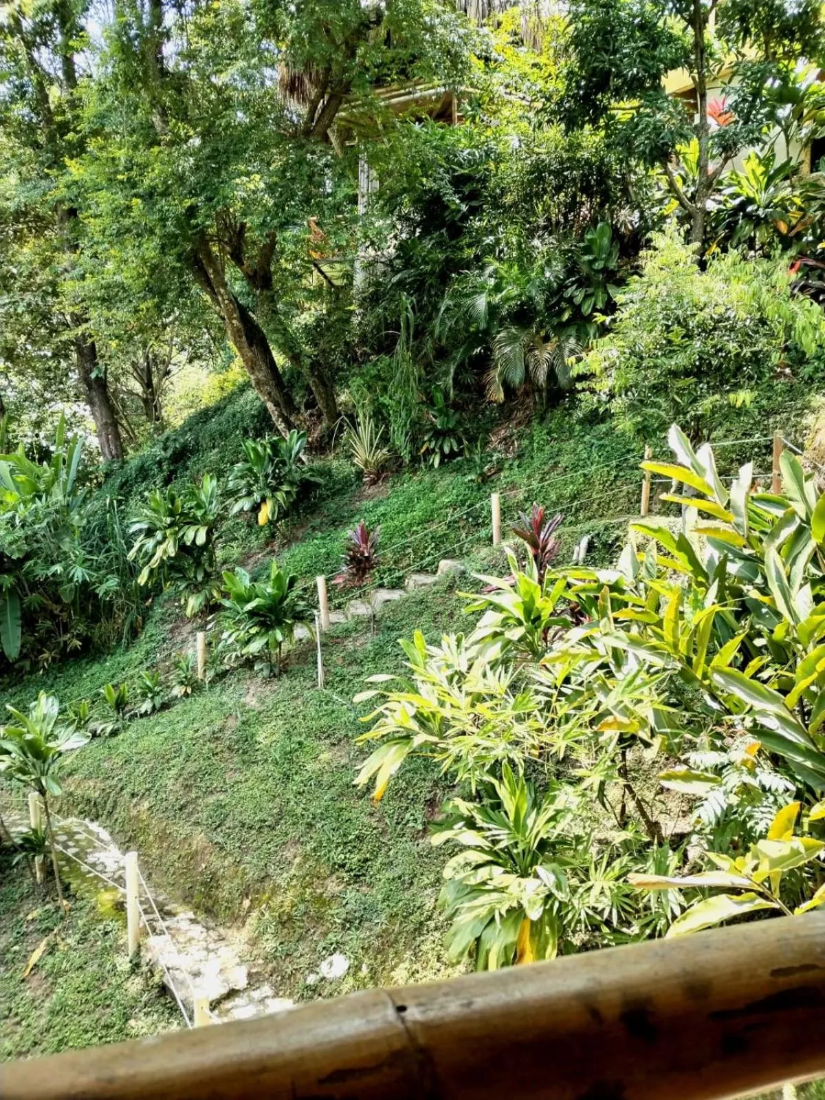 Garden view in Minca Ecohabs Hotel