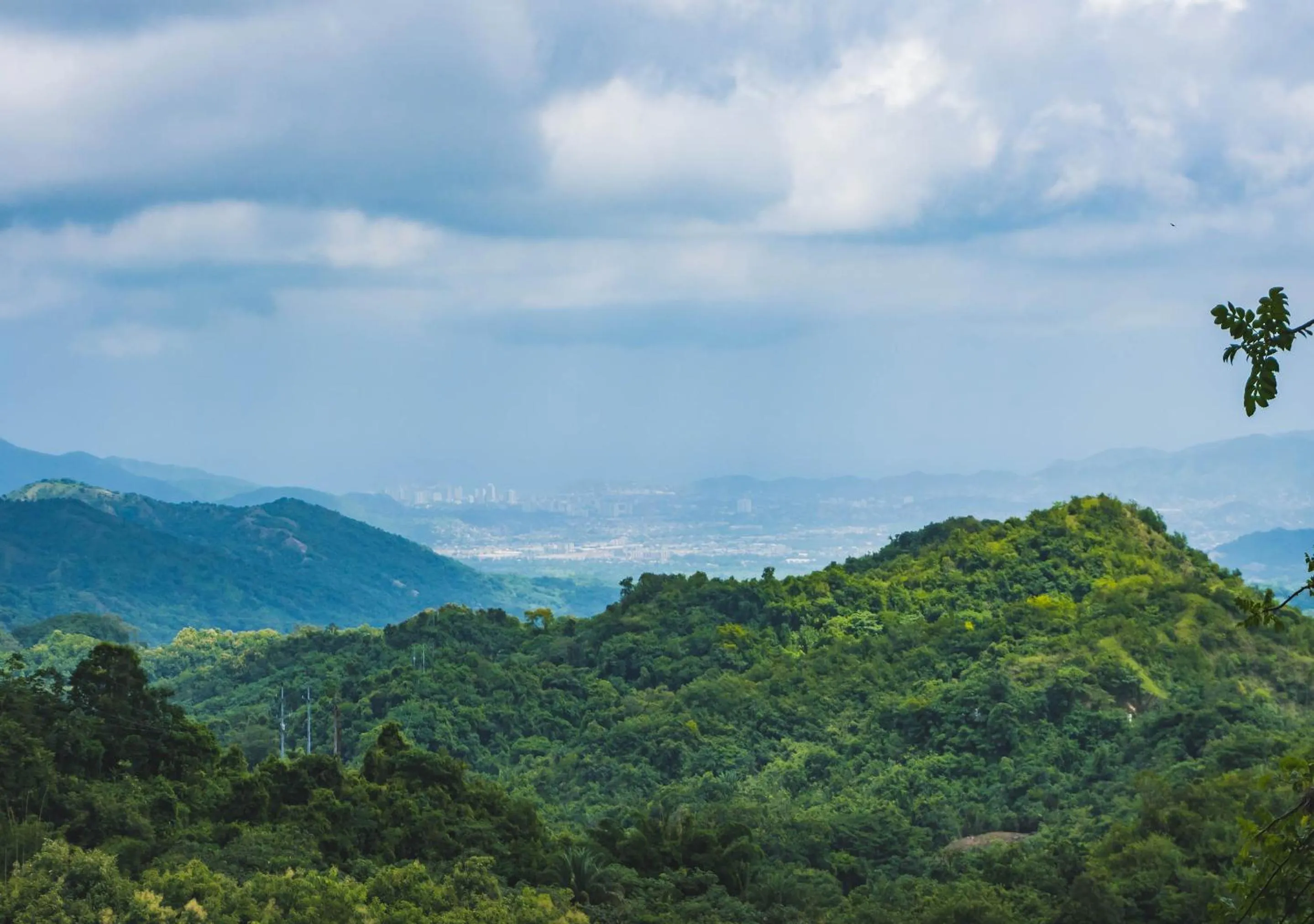 Natural landscape in Minca Ecohabs Hotel